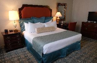 Junior King Suite with Bathtub - Mobility Access - Photo 1