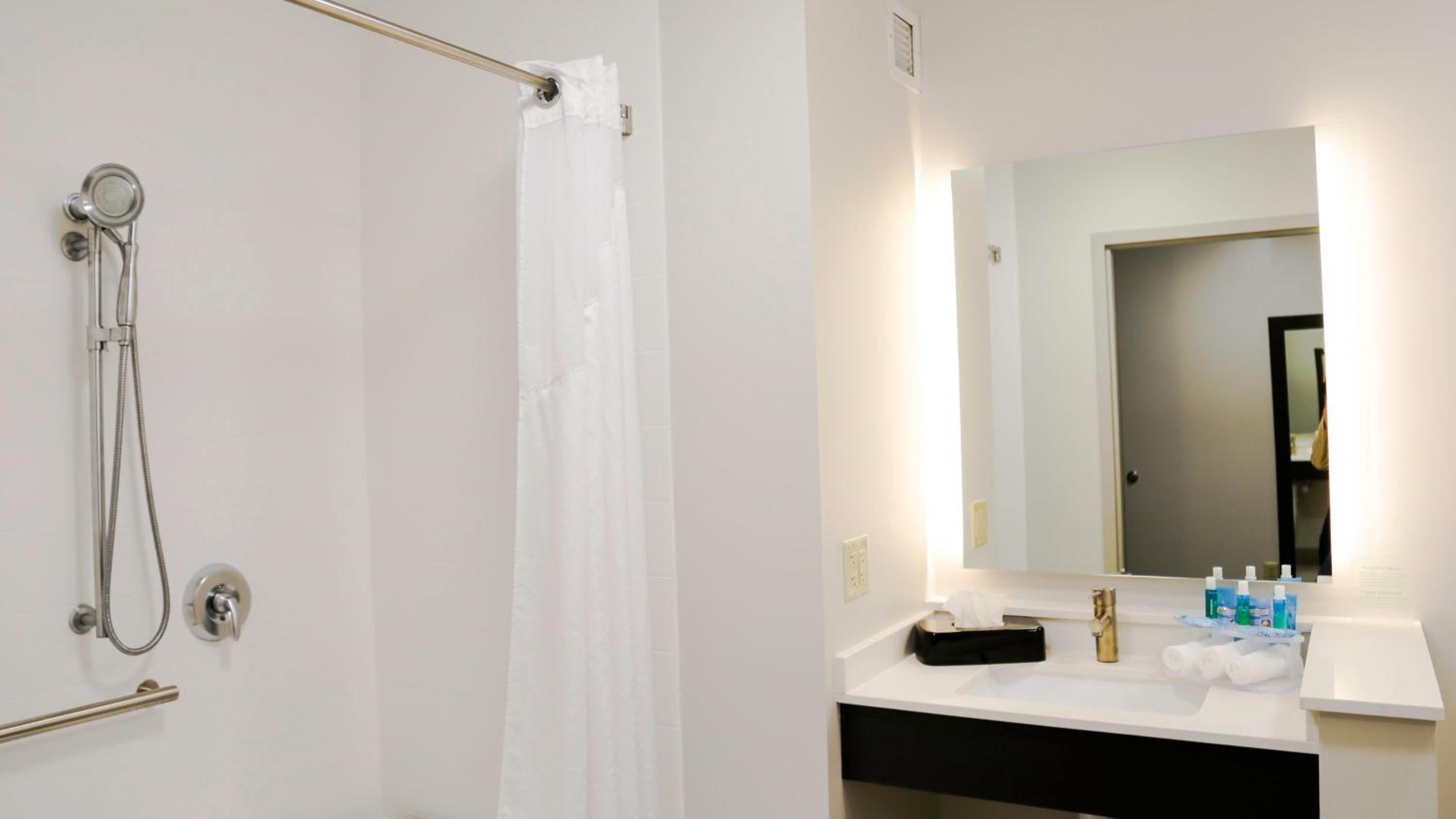Standard King Room with Mobility Accessible Roll-In Shower