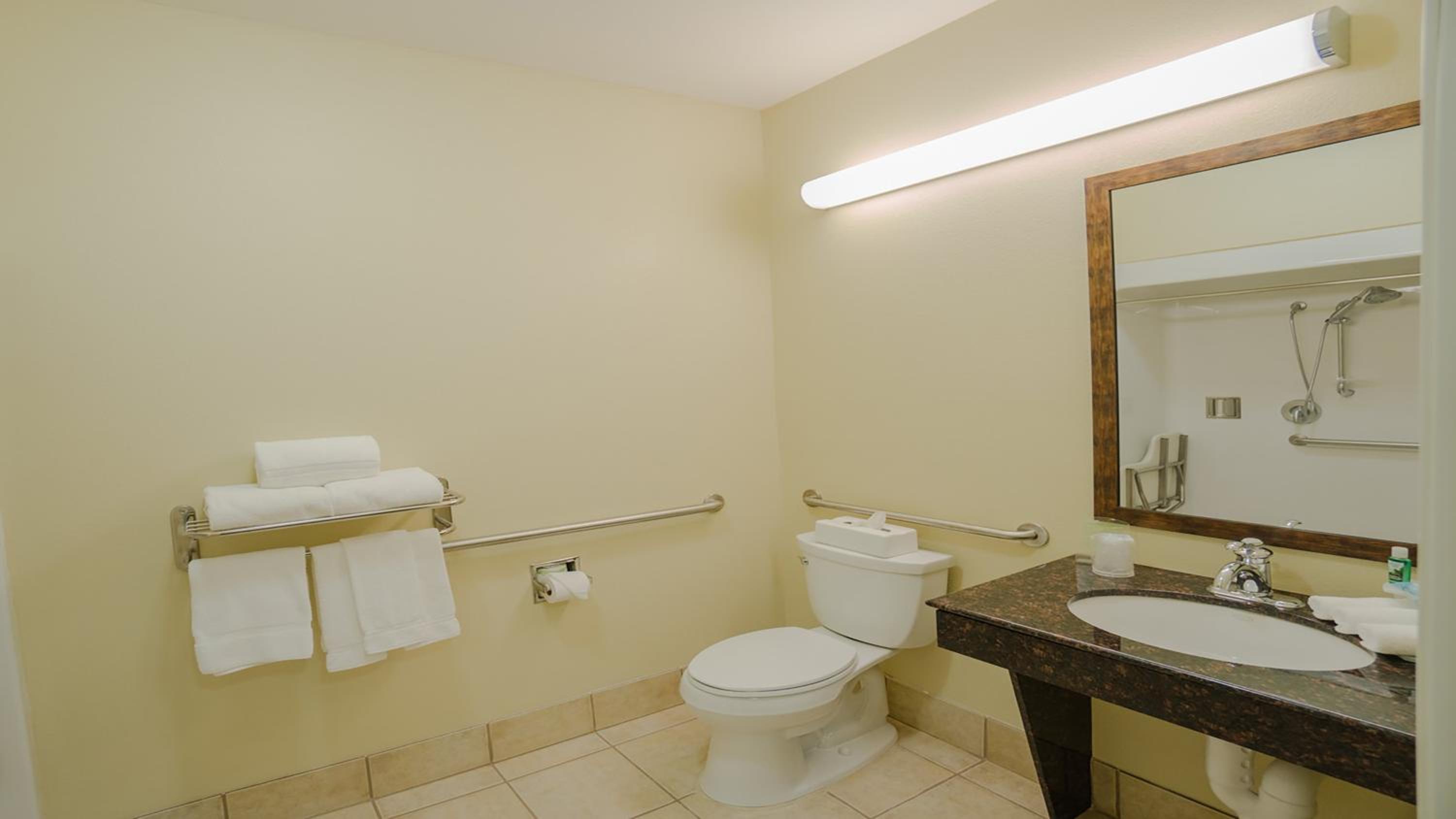Standard King Room with Roll-in Shower - Mobility Accessible - Photo 4