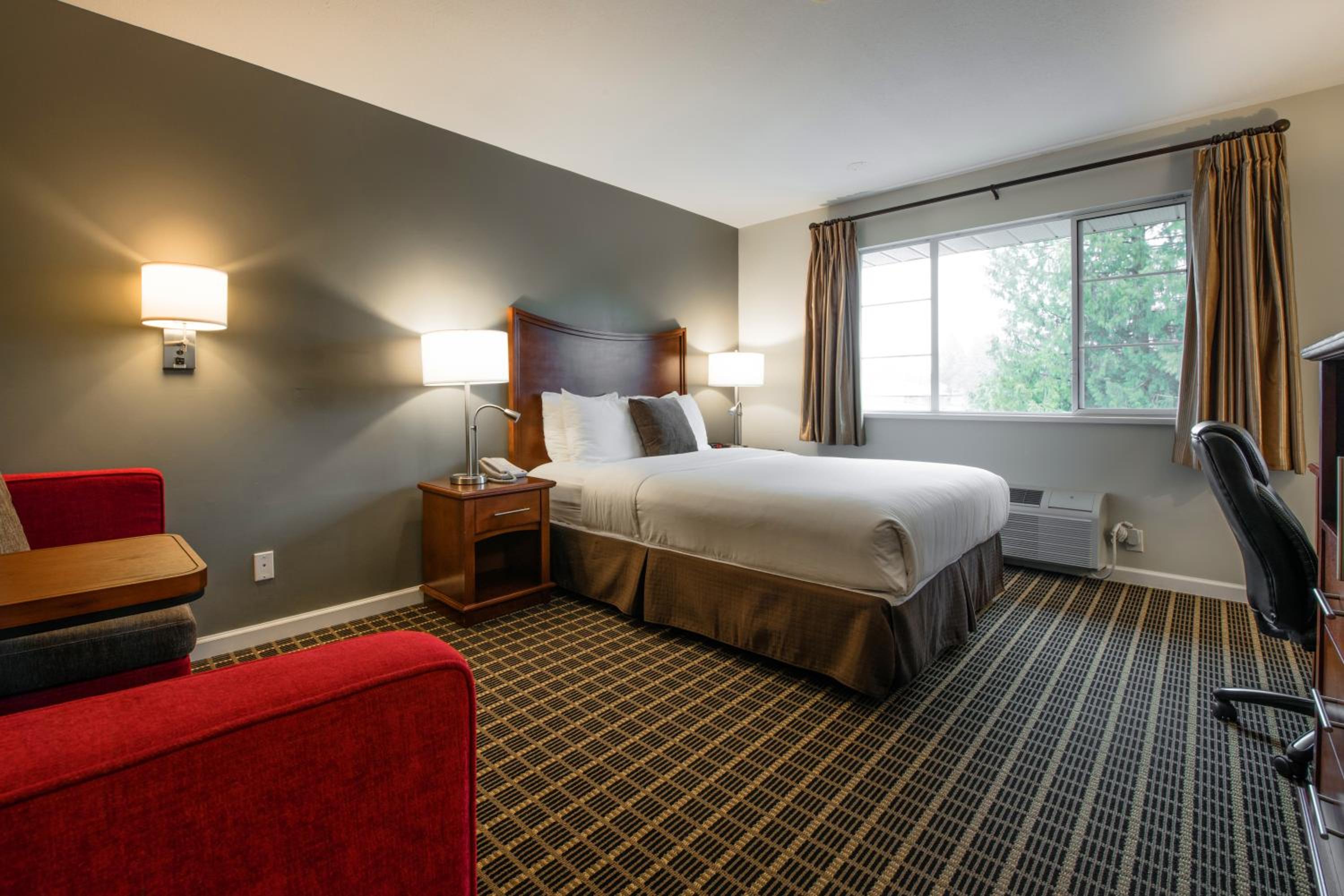Standard Queen Room