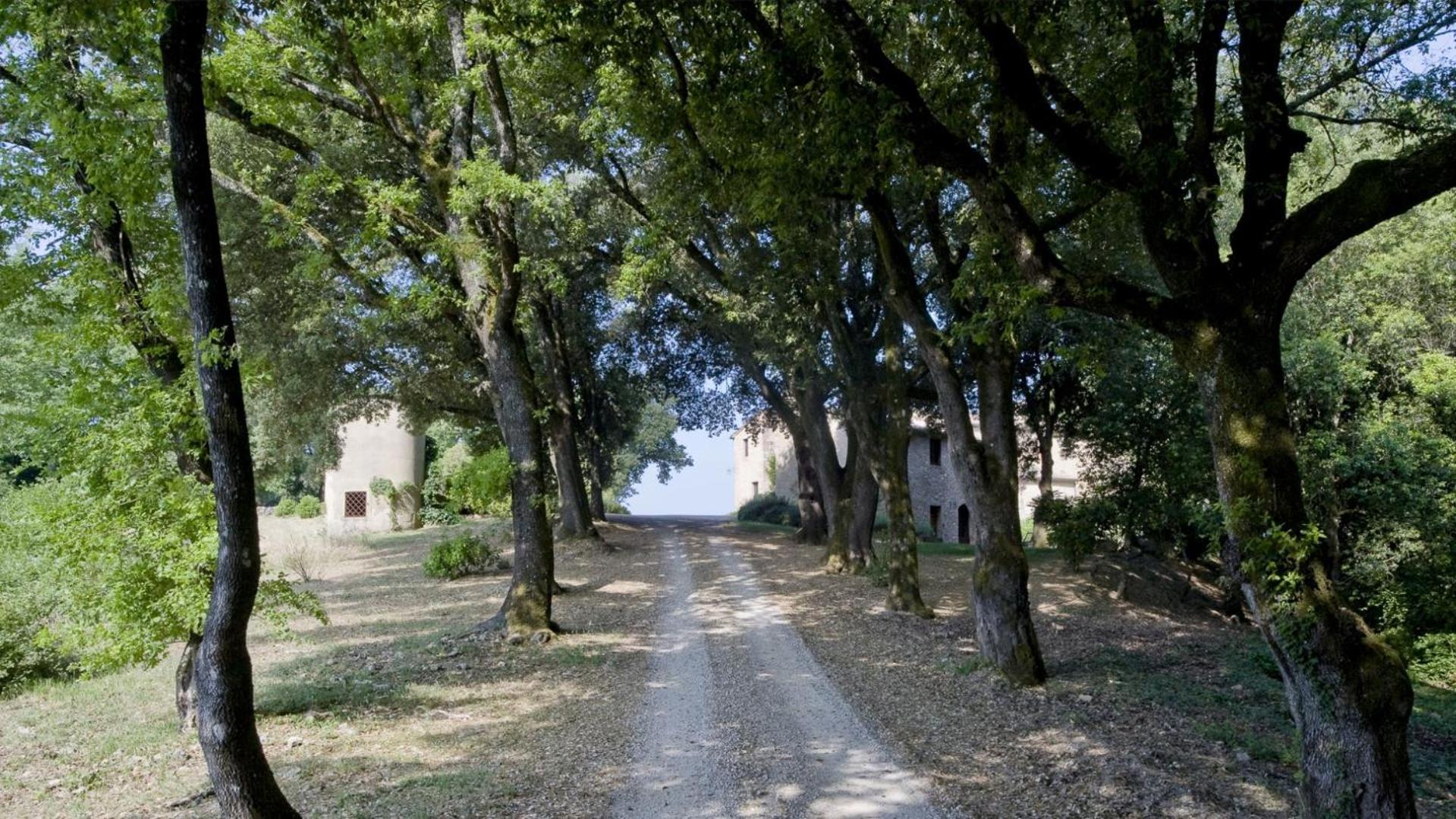 Villa photo 3