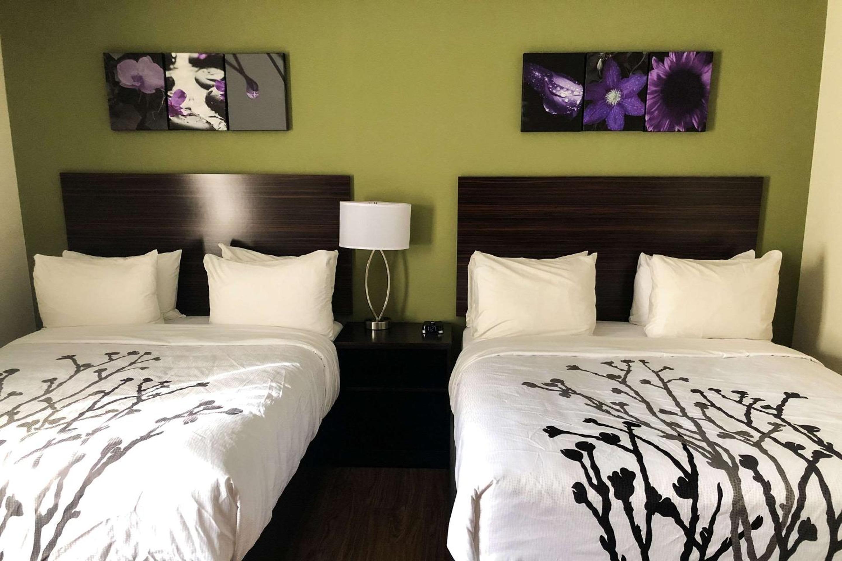 Double Queen Room - Photo 4