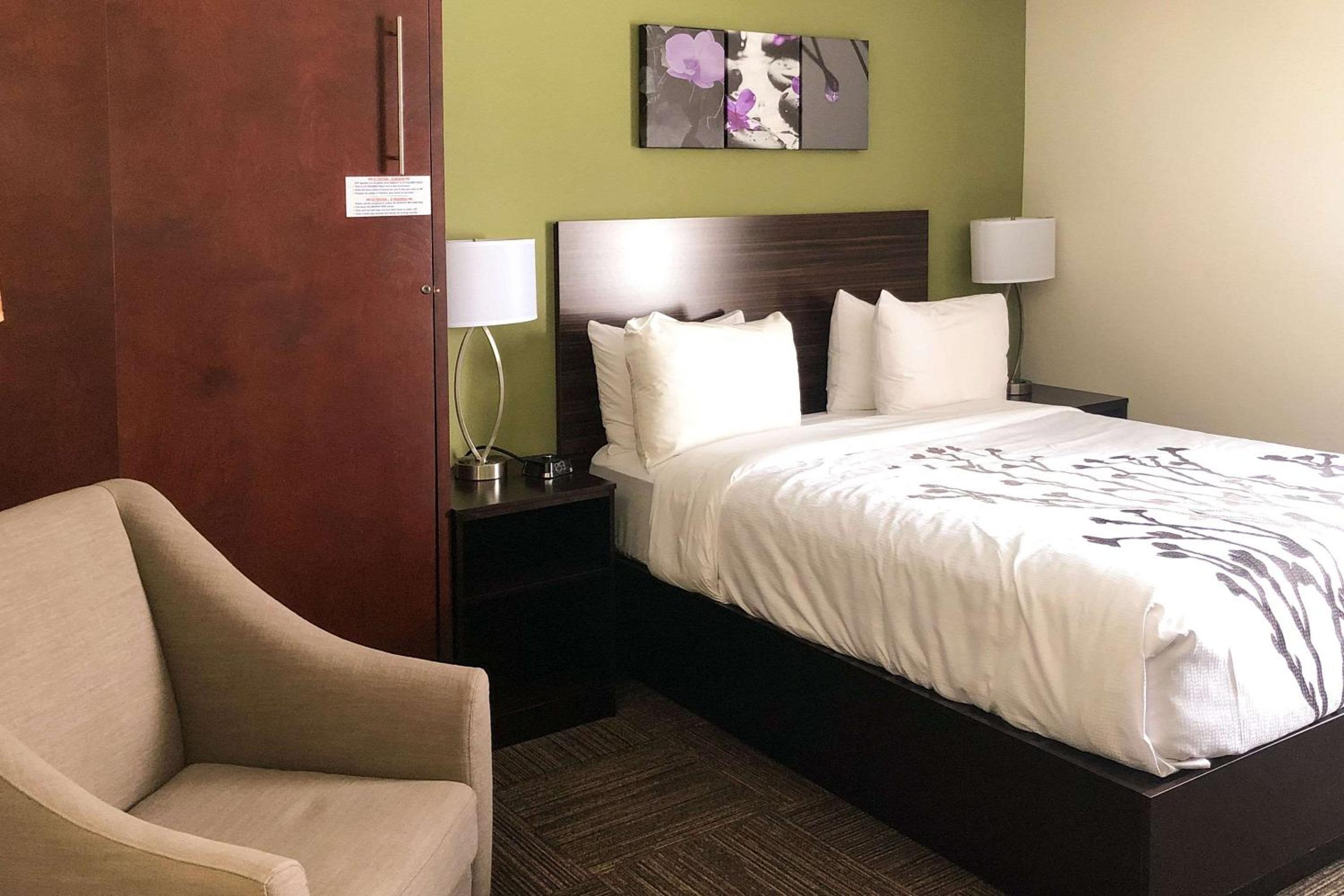 Standard Queen Room - Photo 7