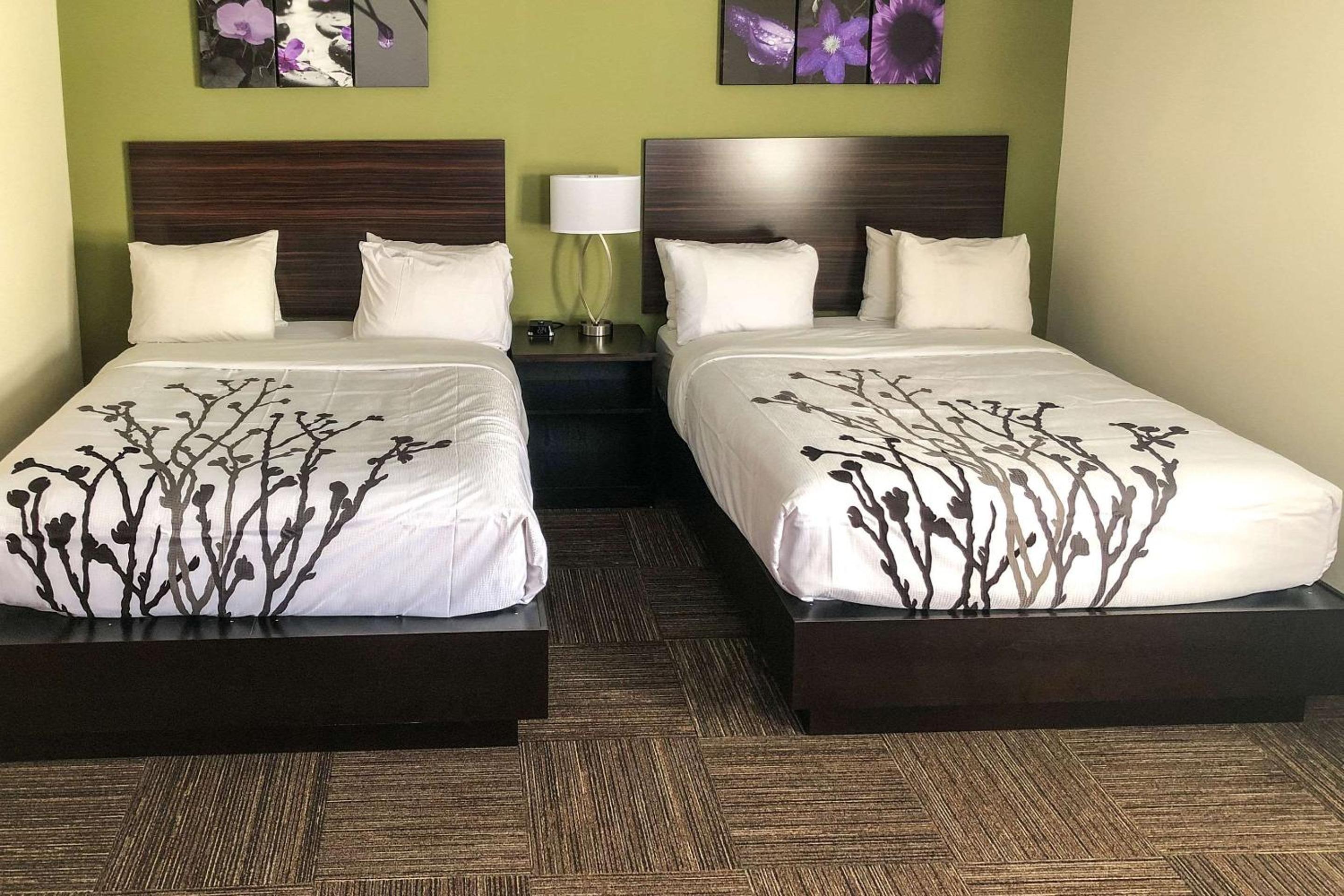Double Queen Room - Photo 1