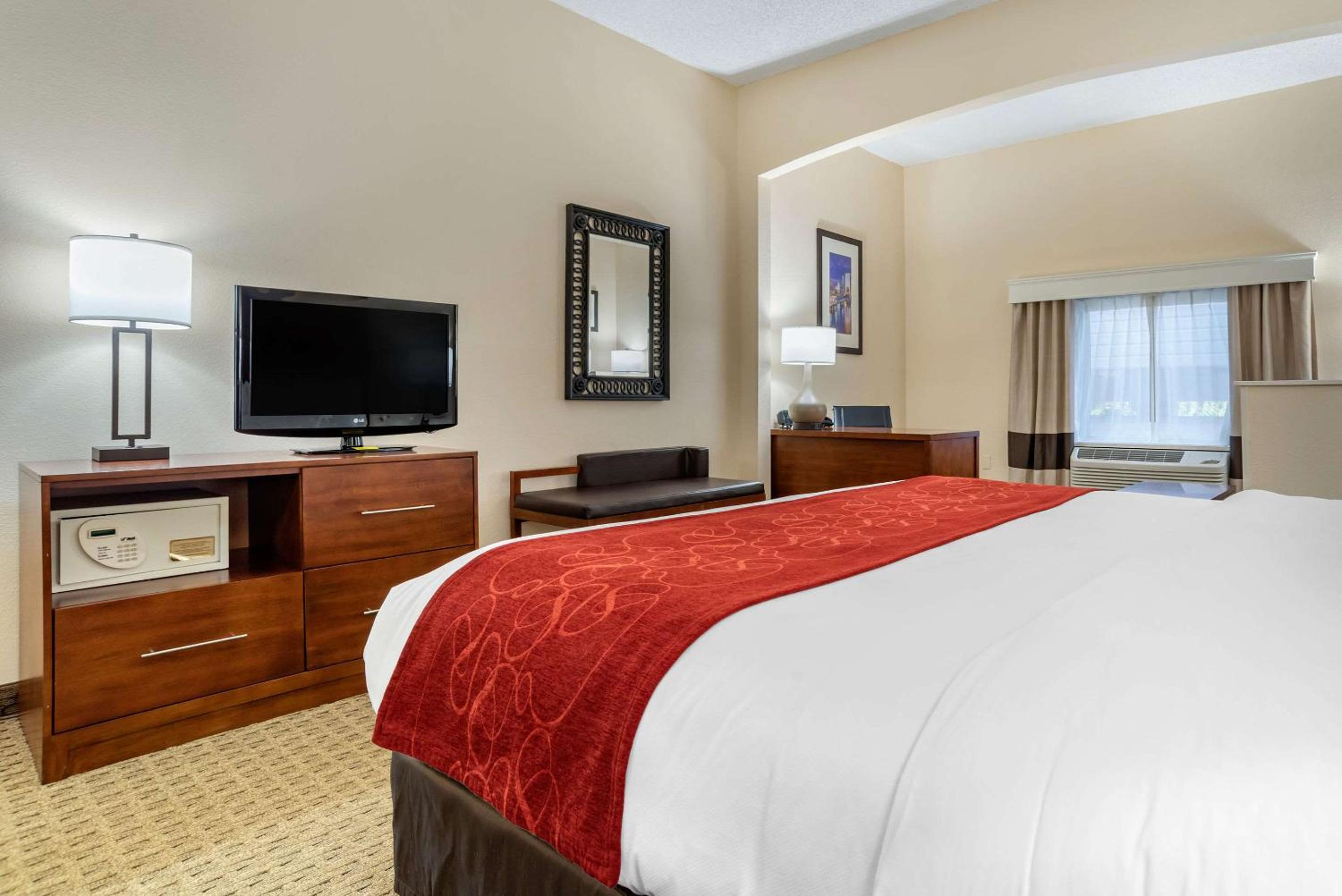 King Suite - Accessible/Non-Smoking - Photo 8