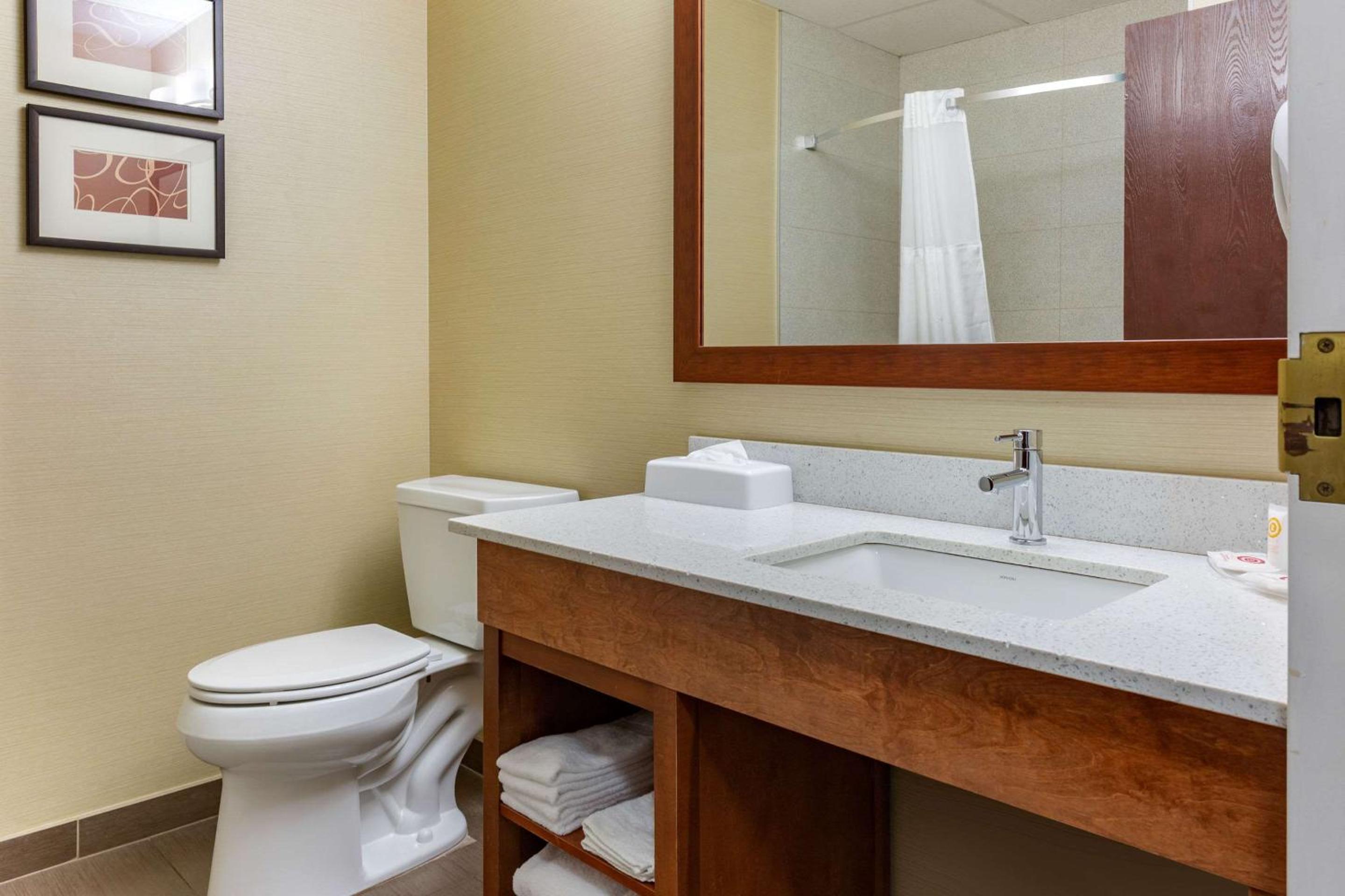 Deluxe King Suite - Non-Smoking - Photo 2