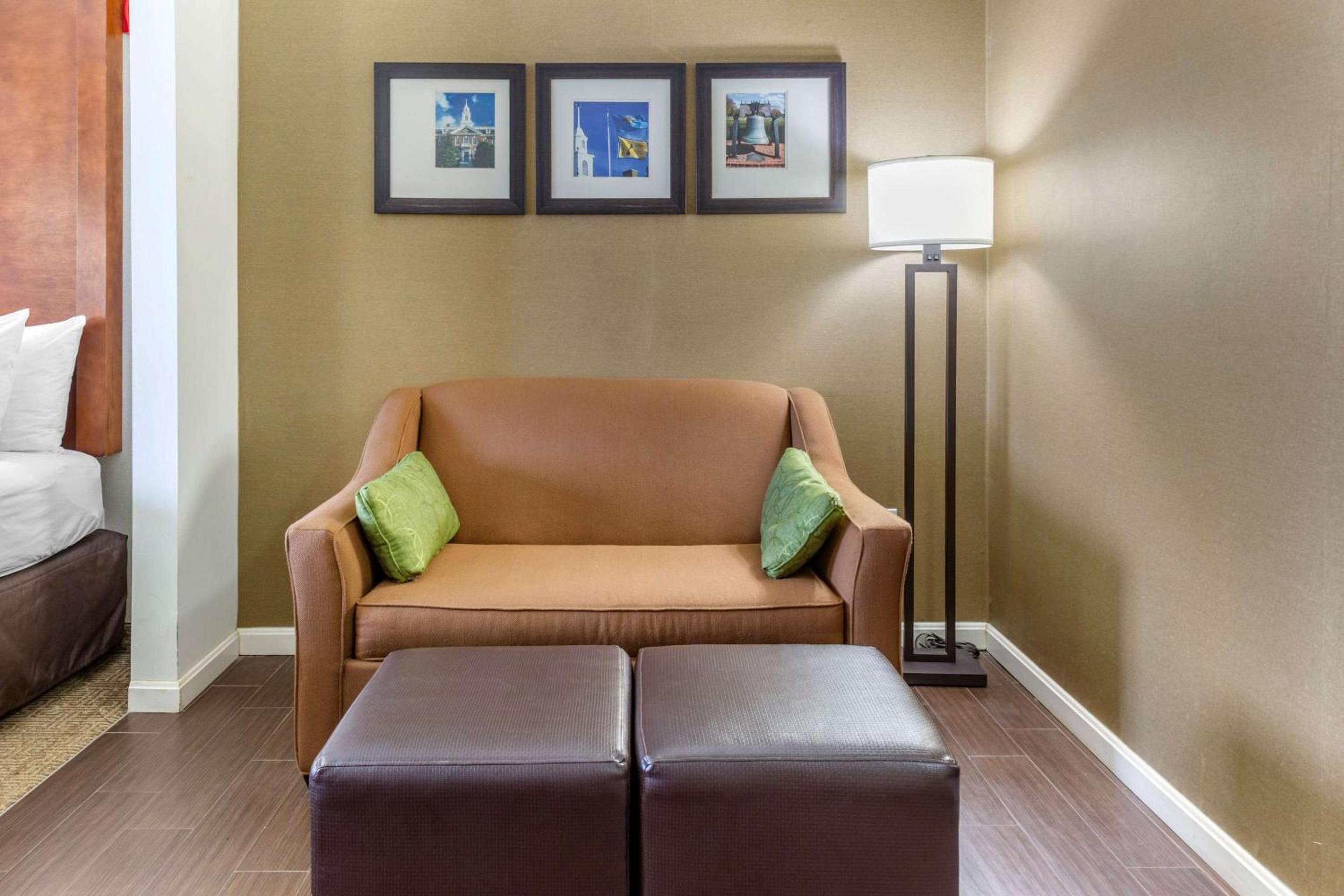 Deluxe King Suite - Non-Smoking - Photo 1