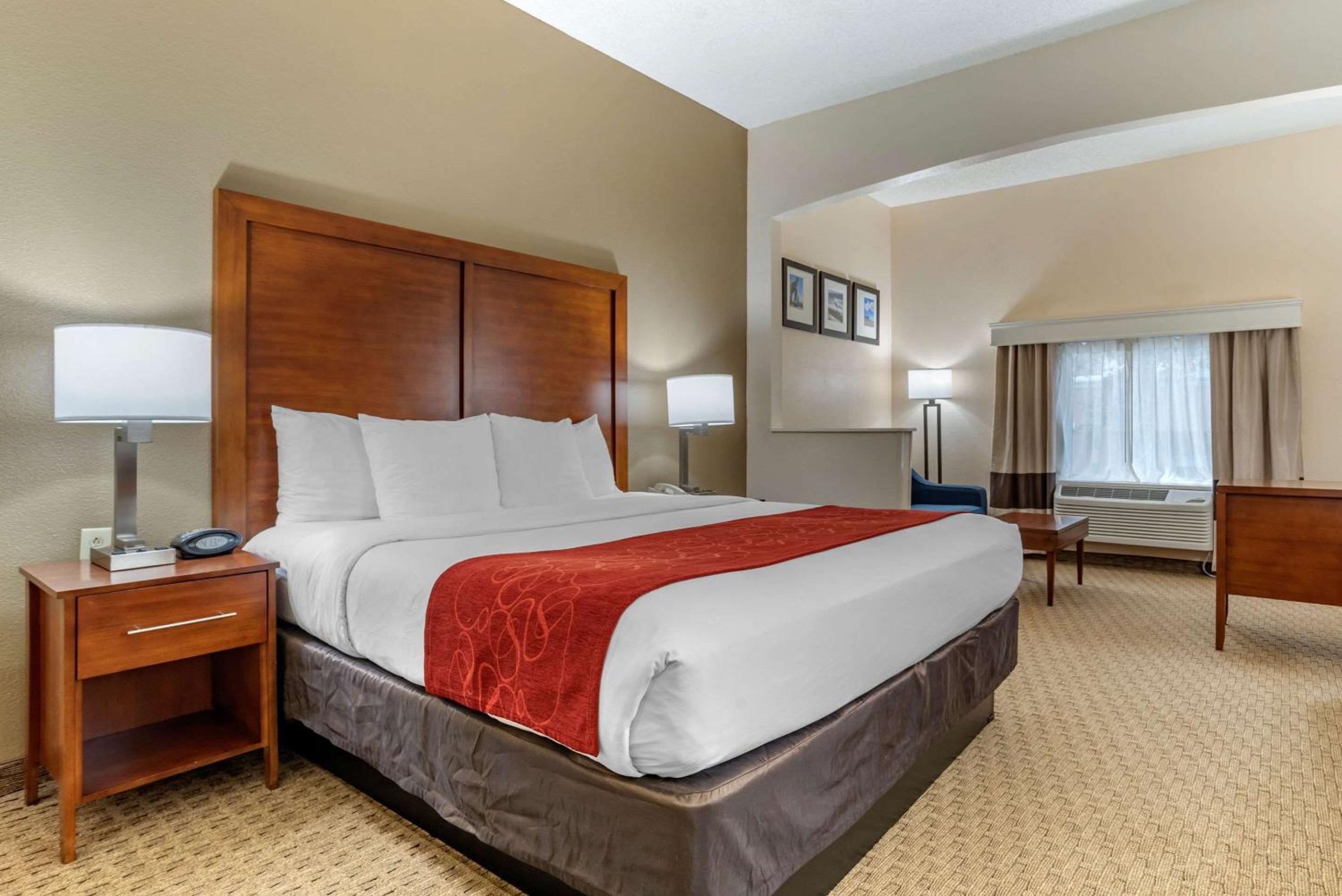 King Suite - Photo 1