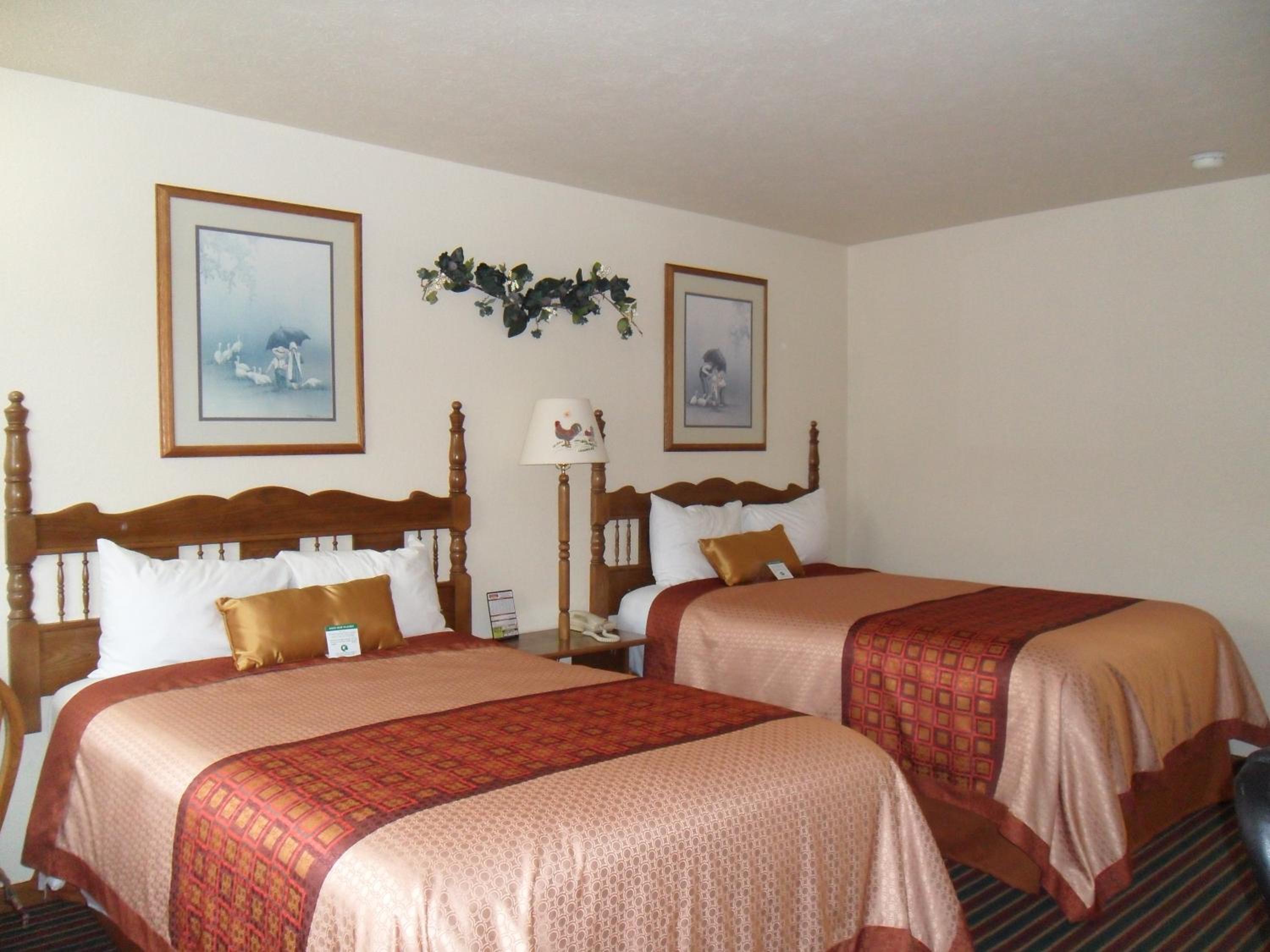 Der Ruhe Blatz Motel, 사진 4