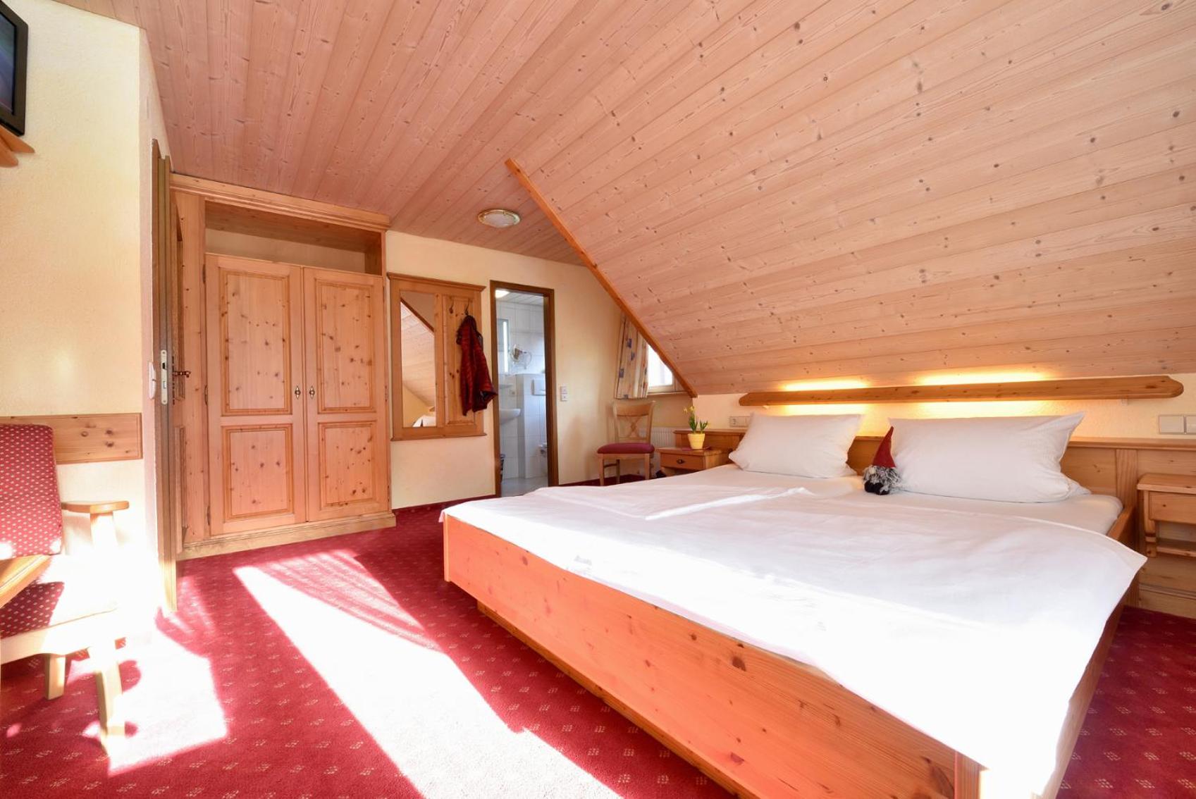 Double or Twin Room photo 1