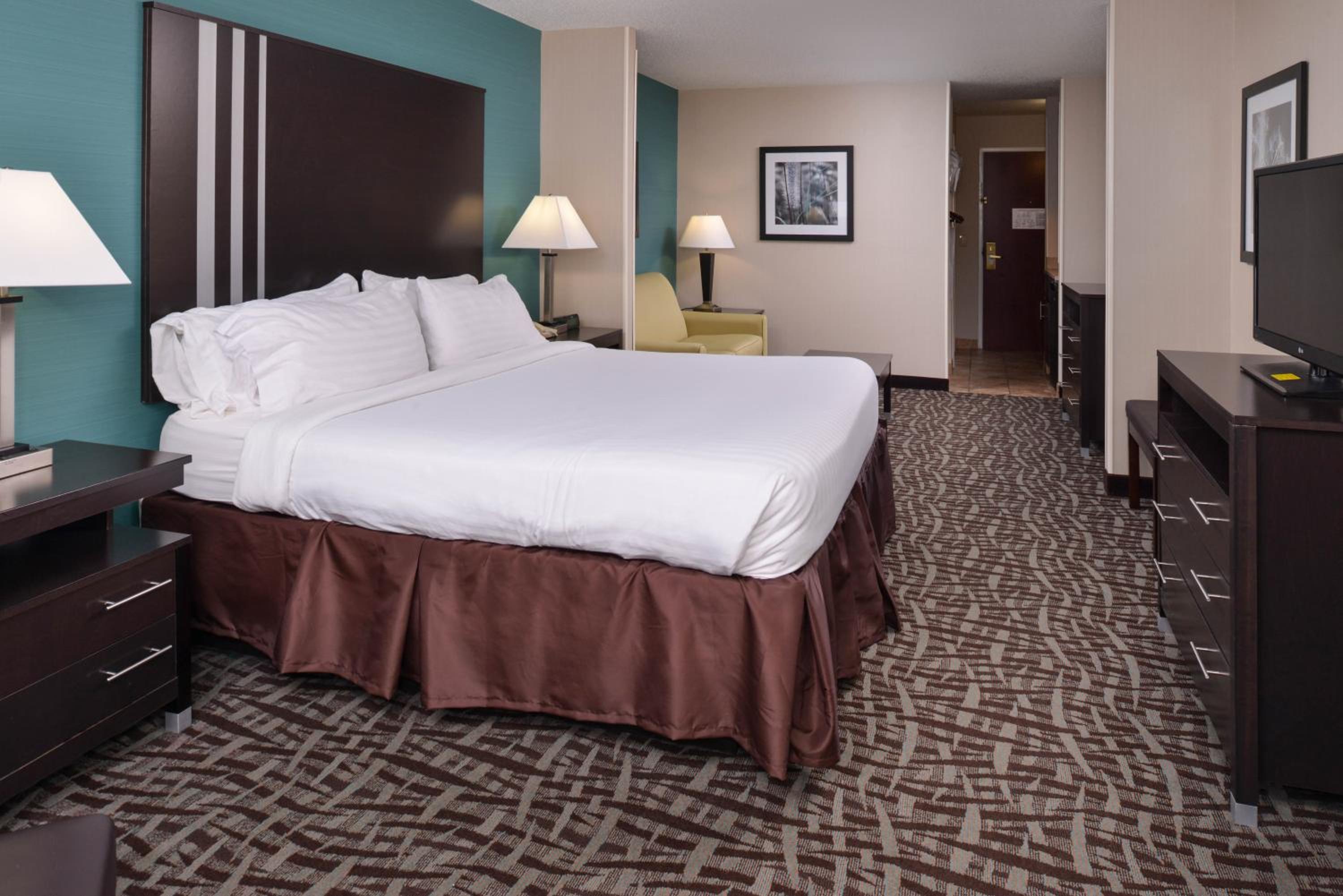 One-Bedroom Suite - Photo 4