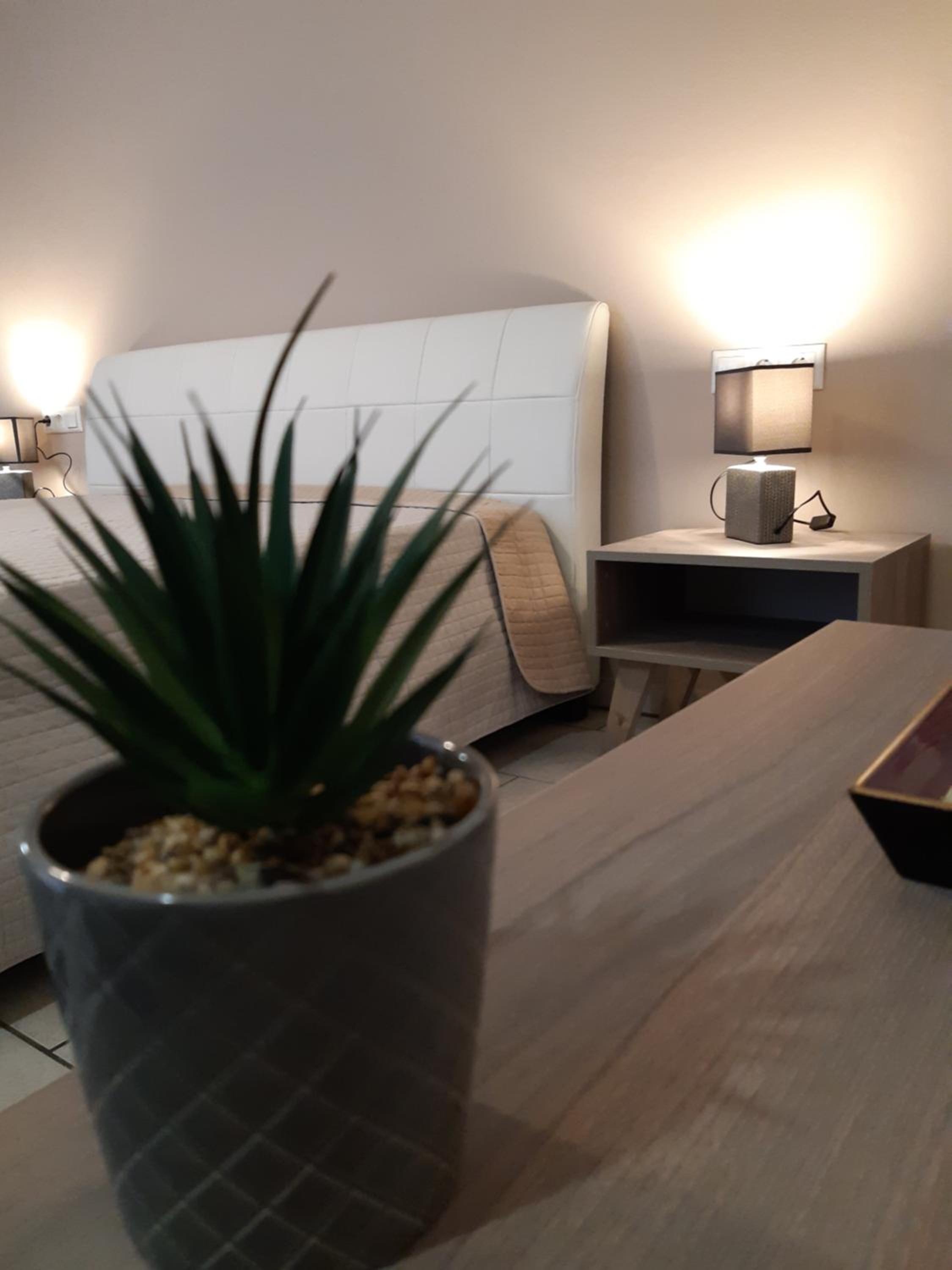 Standard Studio