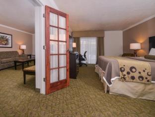 King Room with Pool View - Non-Smoking - Photo 14