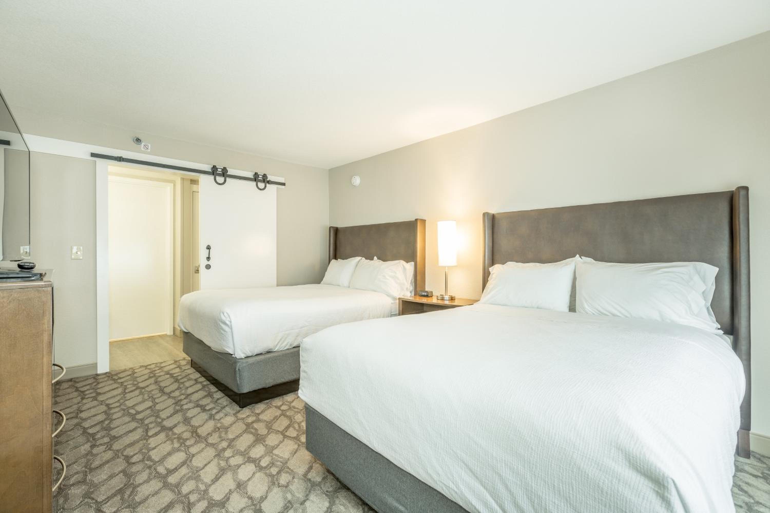 Double Suite - Non-Smoking photo 2