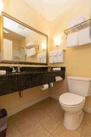 King Room - Non-Smoking - Photo 14