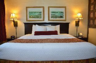 King Room - Non-Smoking - Photo 7