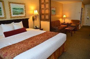 King Room - Non-Smoking - Photo 6
