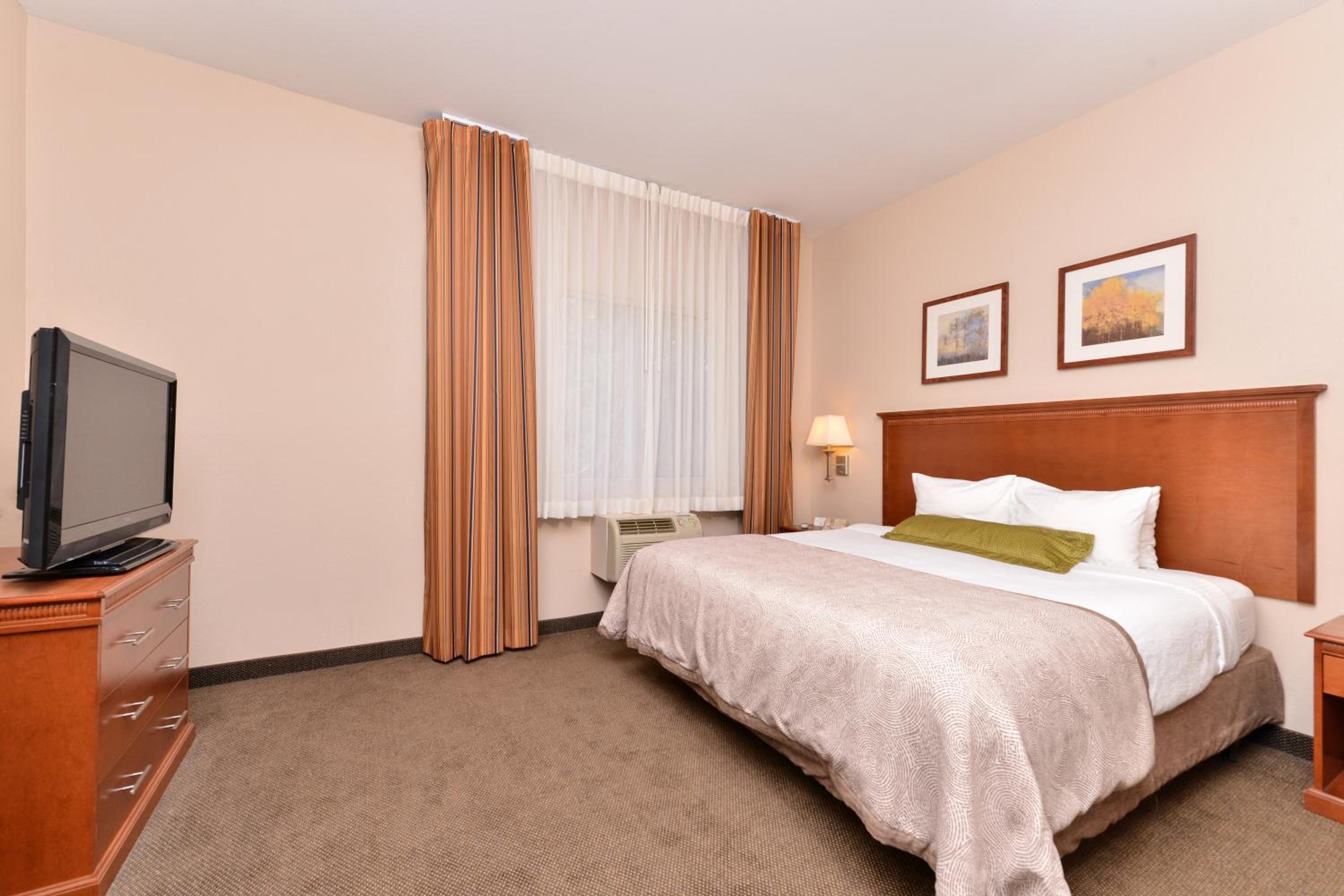 King Studio Suite - Photo 1