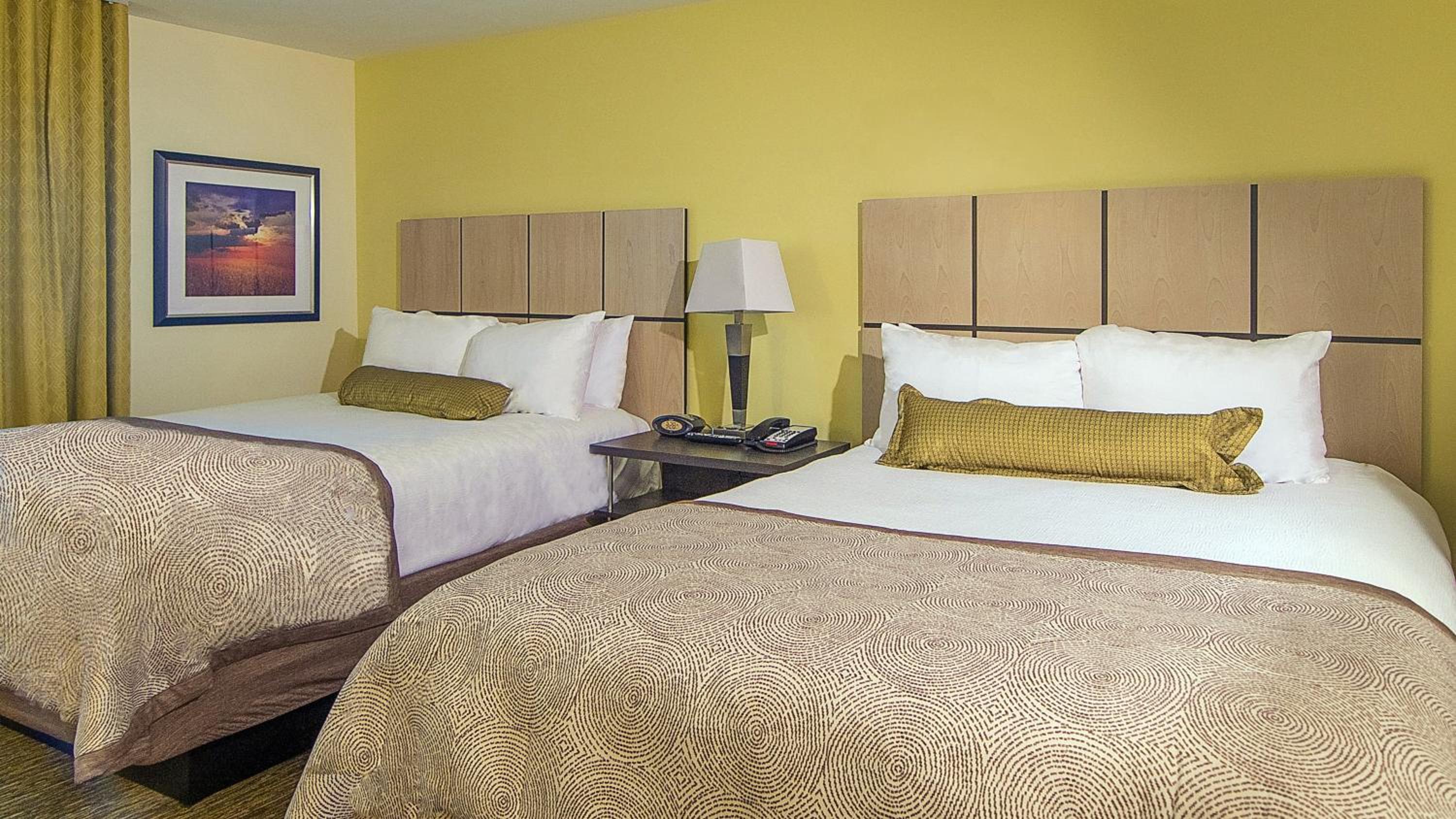 Studio Suite with Two Queen Beds photo 1