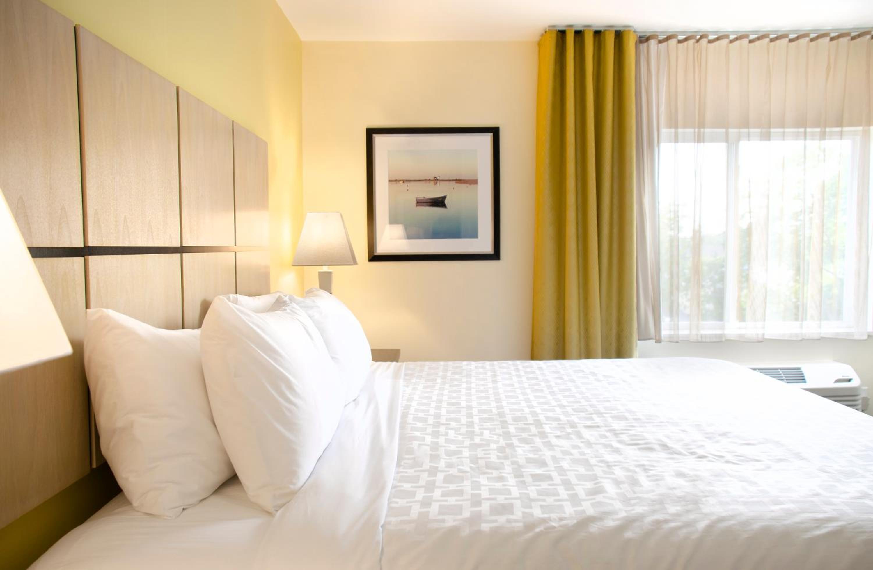 One-Bedroom King Suite with Sofa Bed photo 2