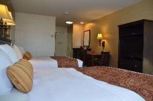 Large King Suite with Sofa Bed and Shower Only - Non-Smoking - Photo 8