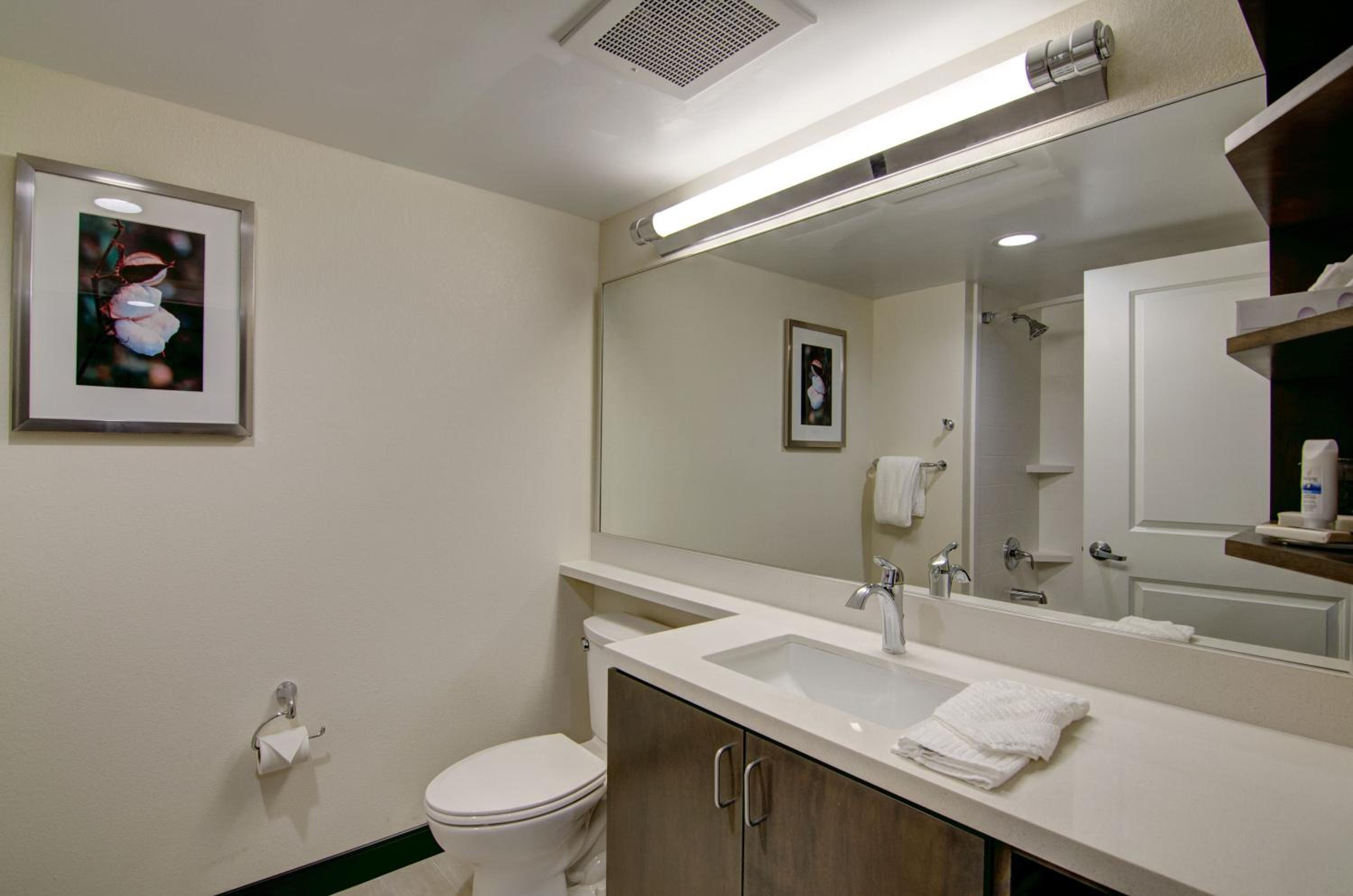 One-Bedroom King Suite - Photo 5