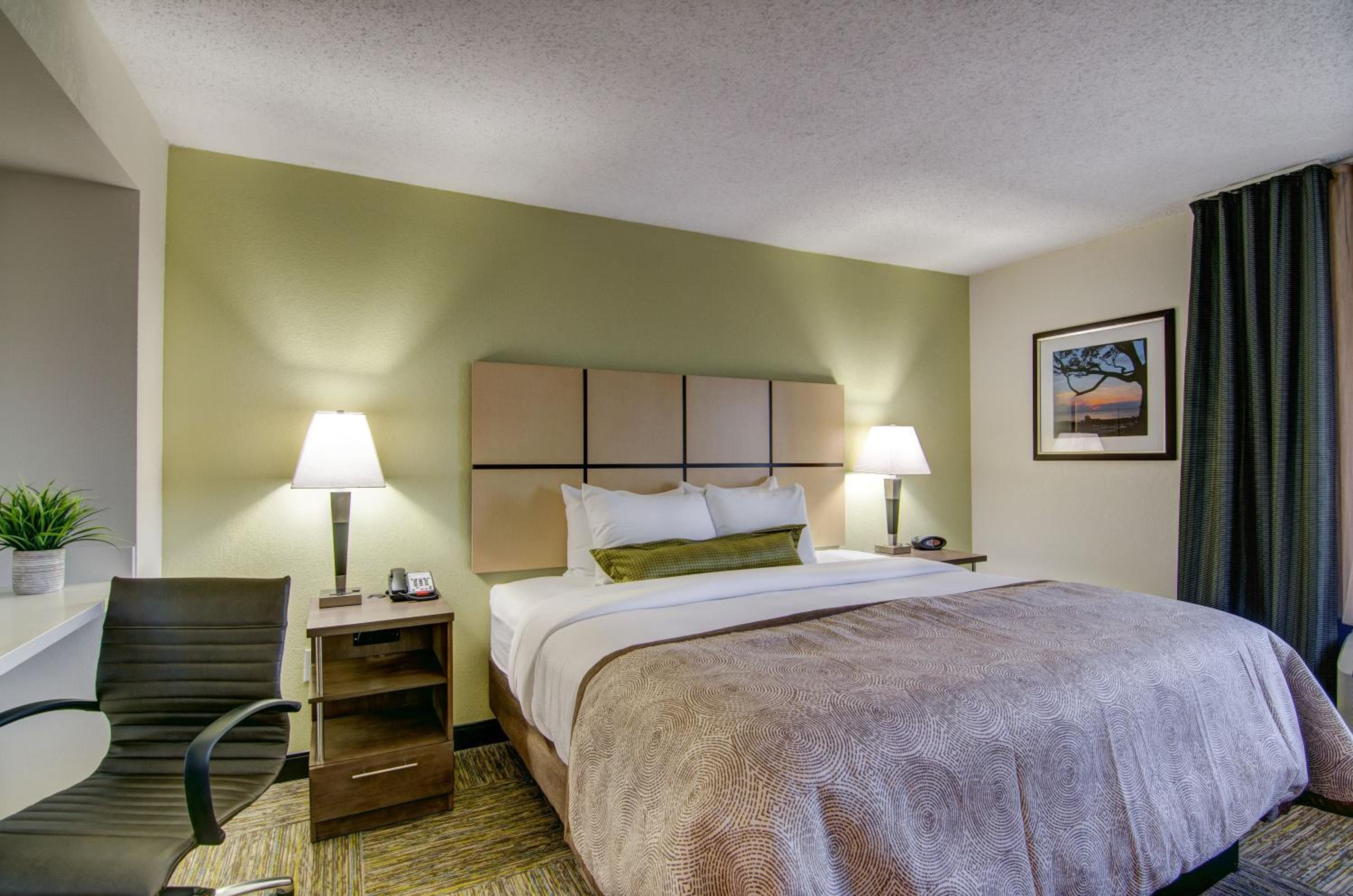 One-Bedroom King Suite - Photo 4