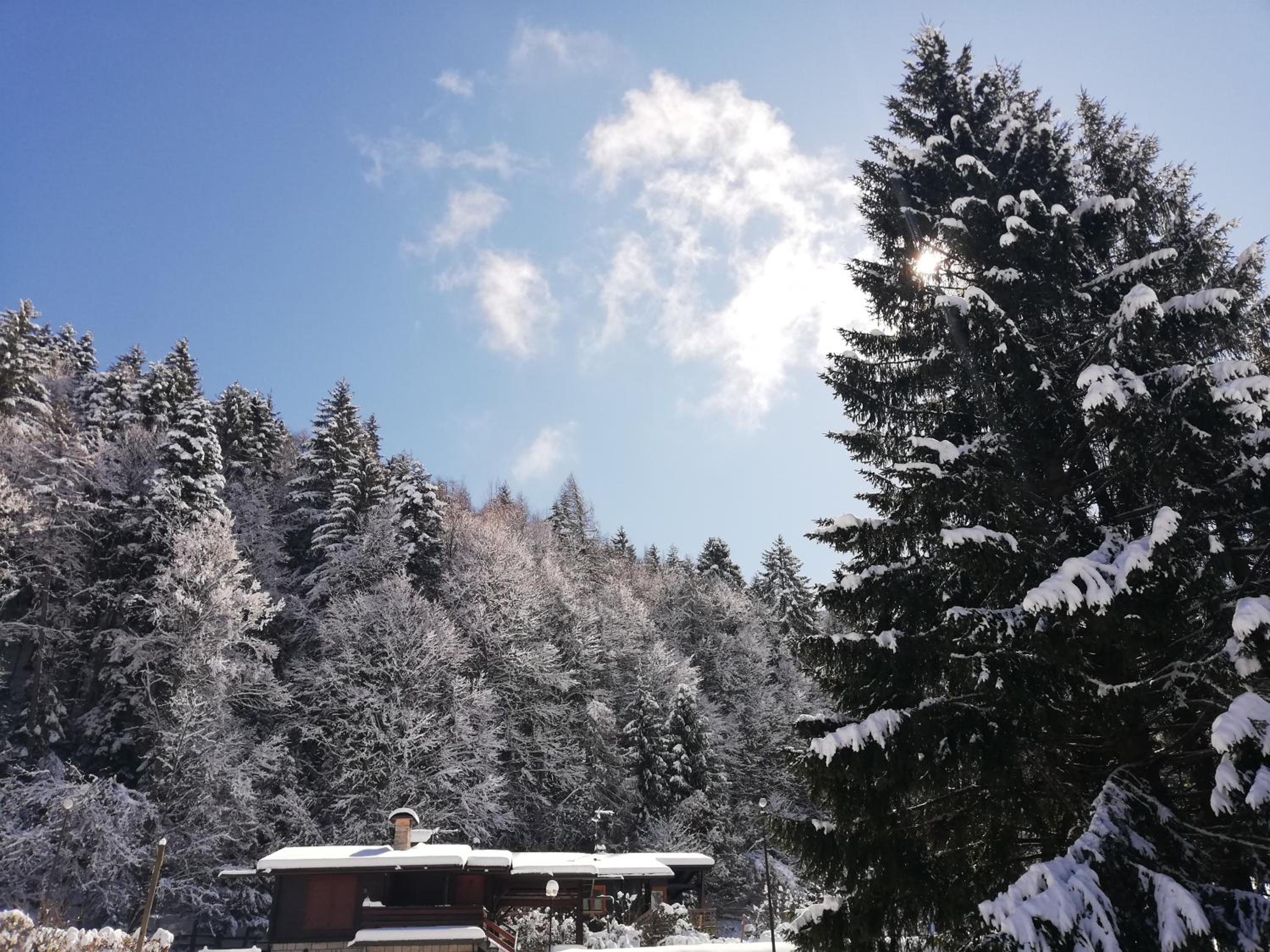 Chalet photo 3