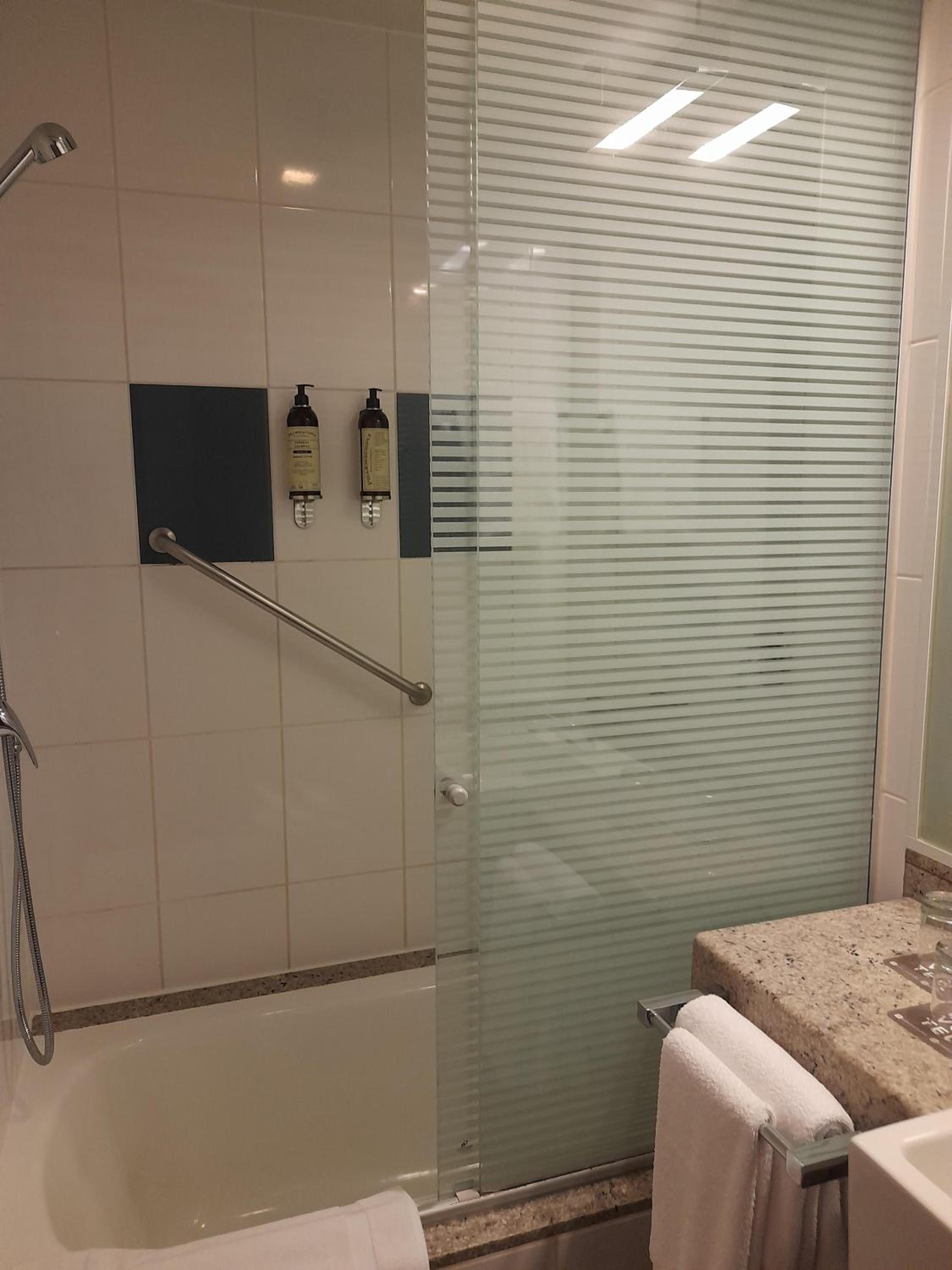 Handicap Room, photo 6