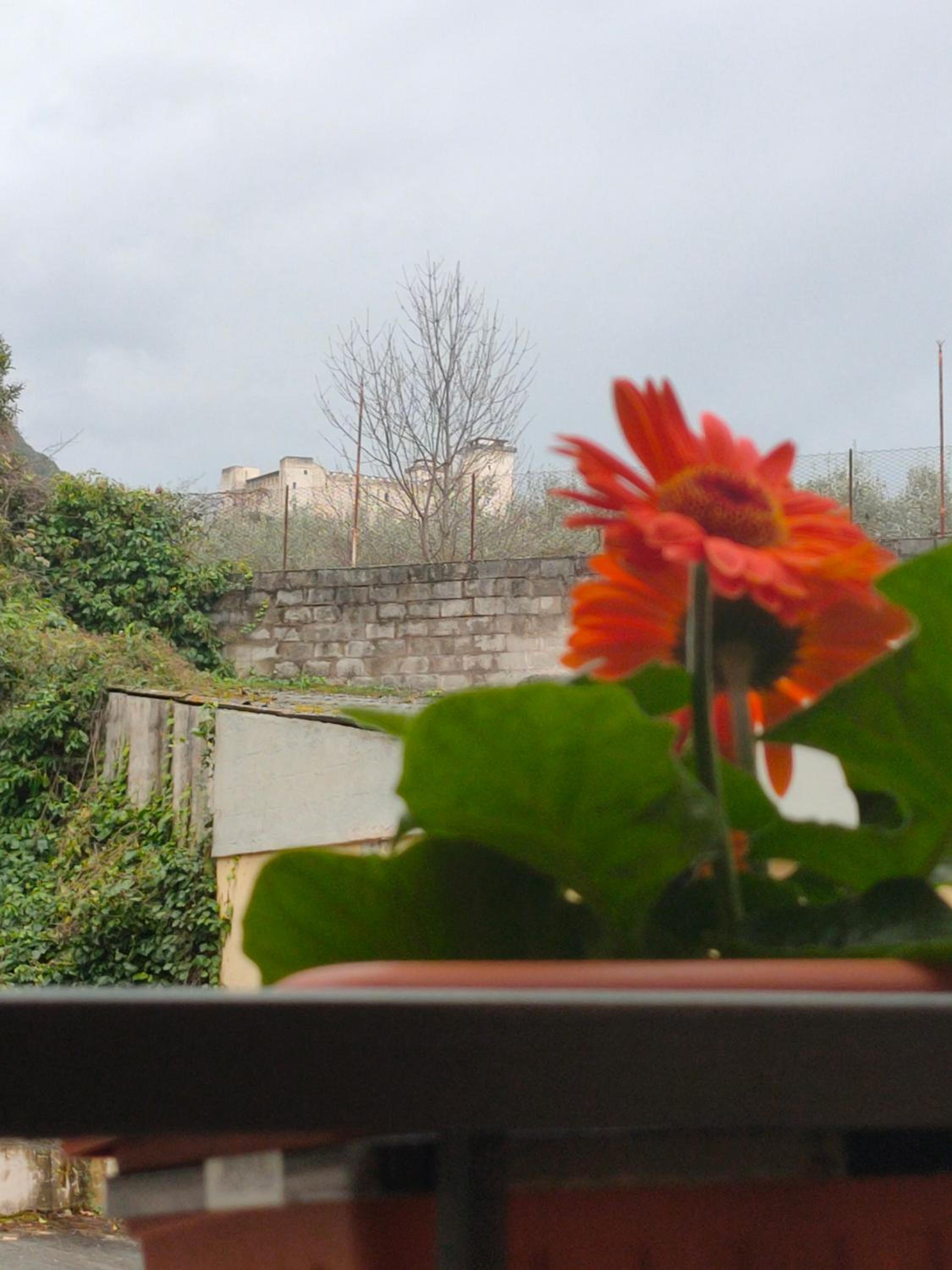 Standard Double or Twin Room with Balcony photo 2