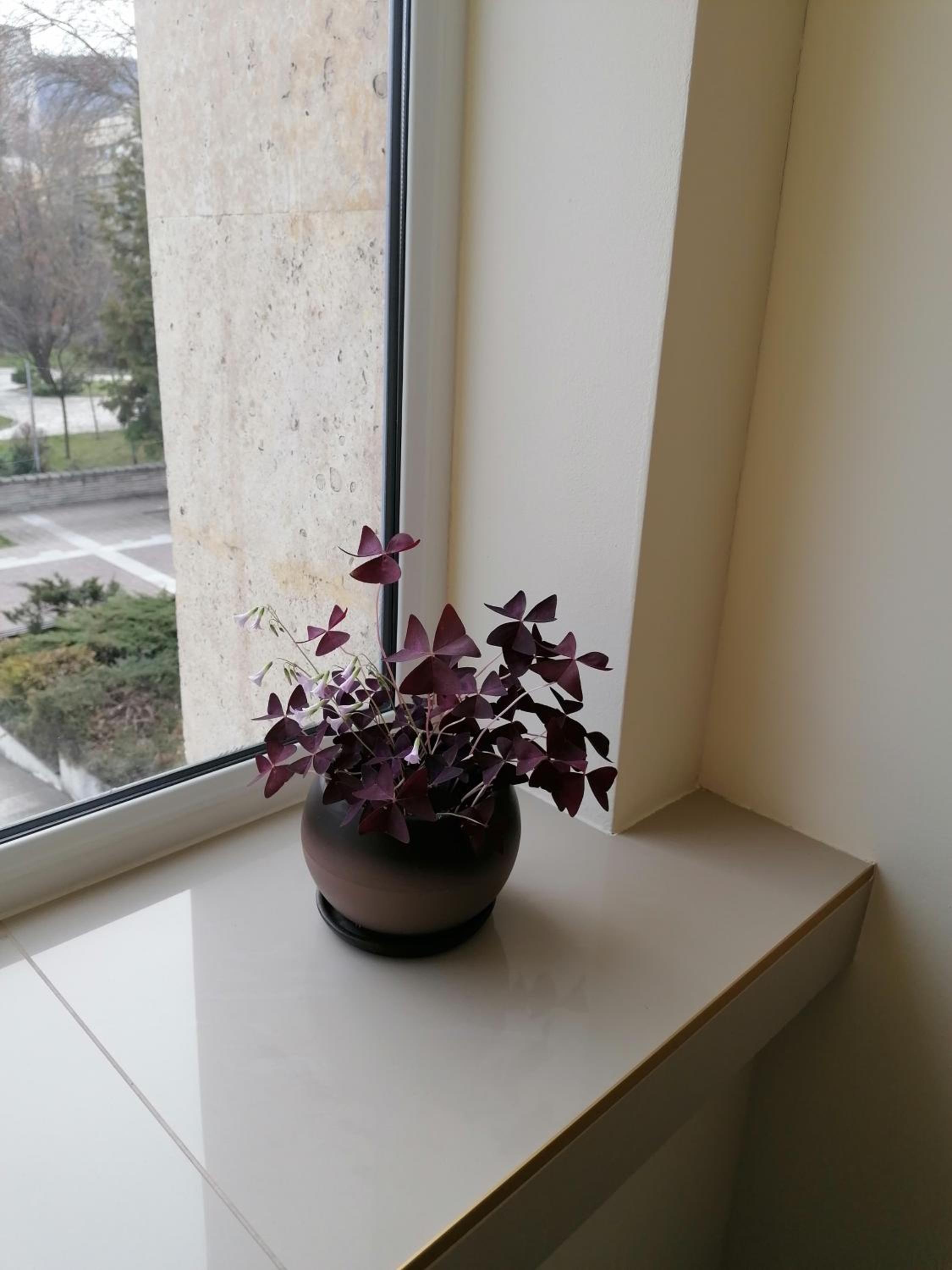 Double Room - Photo 35