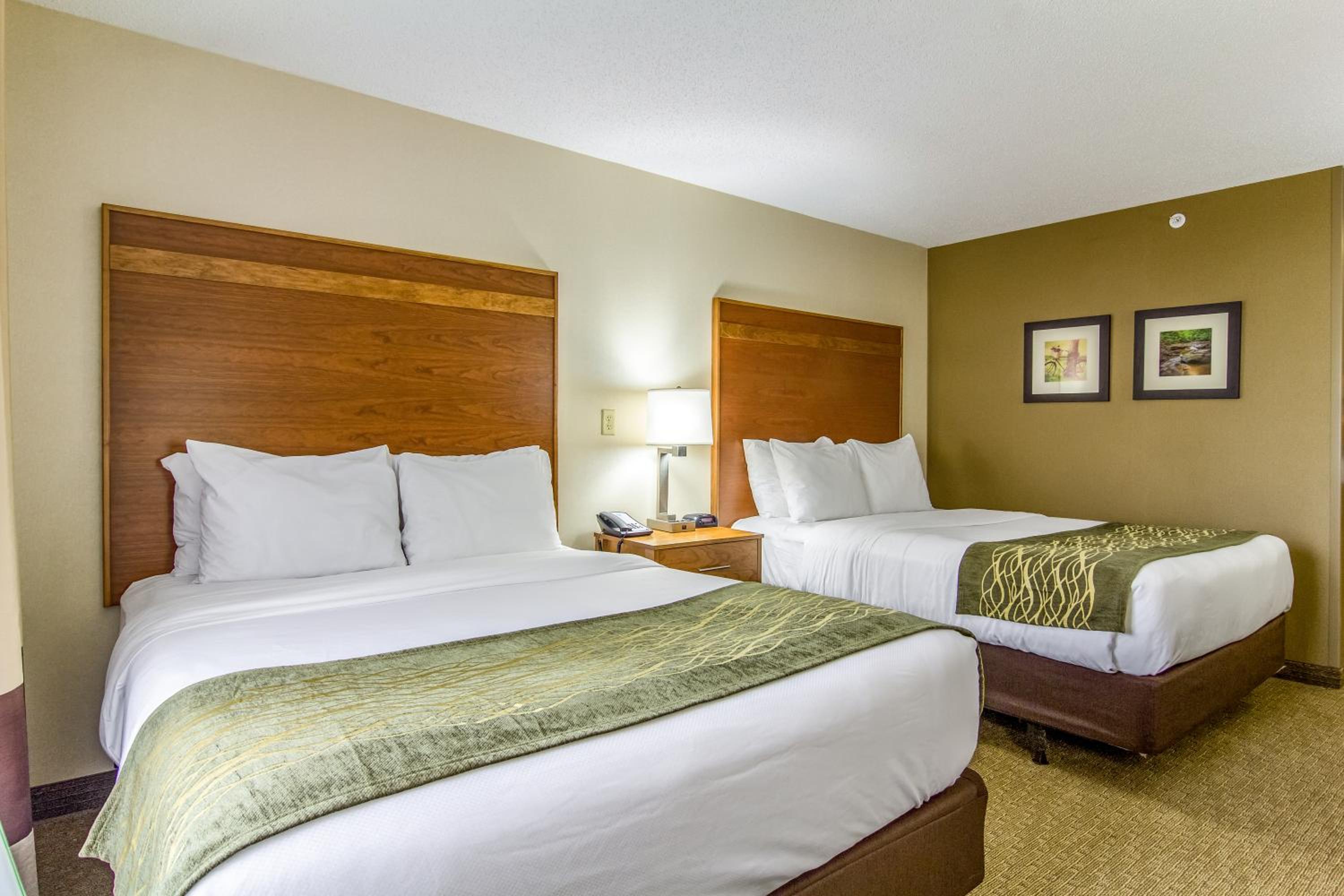 Queen Room with Two Queen Beds - Pet Friendly/Ground floor - Photo 3