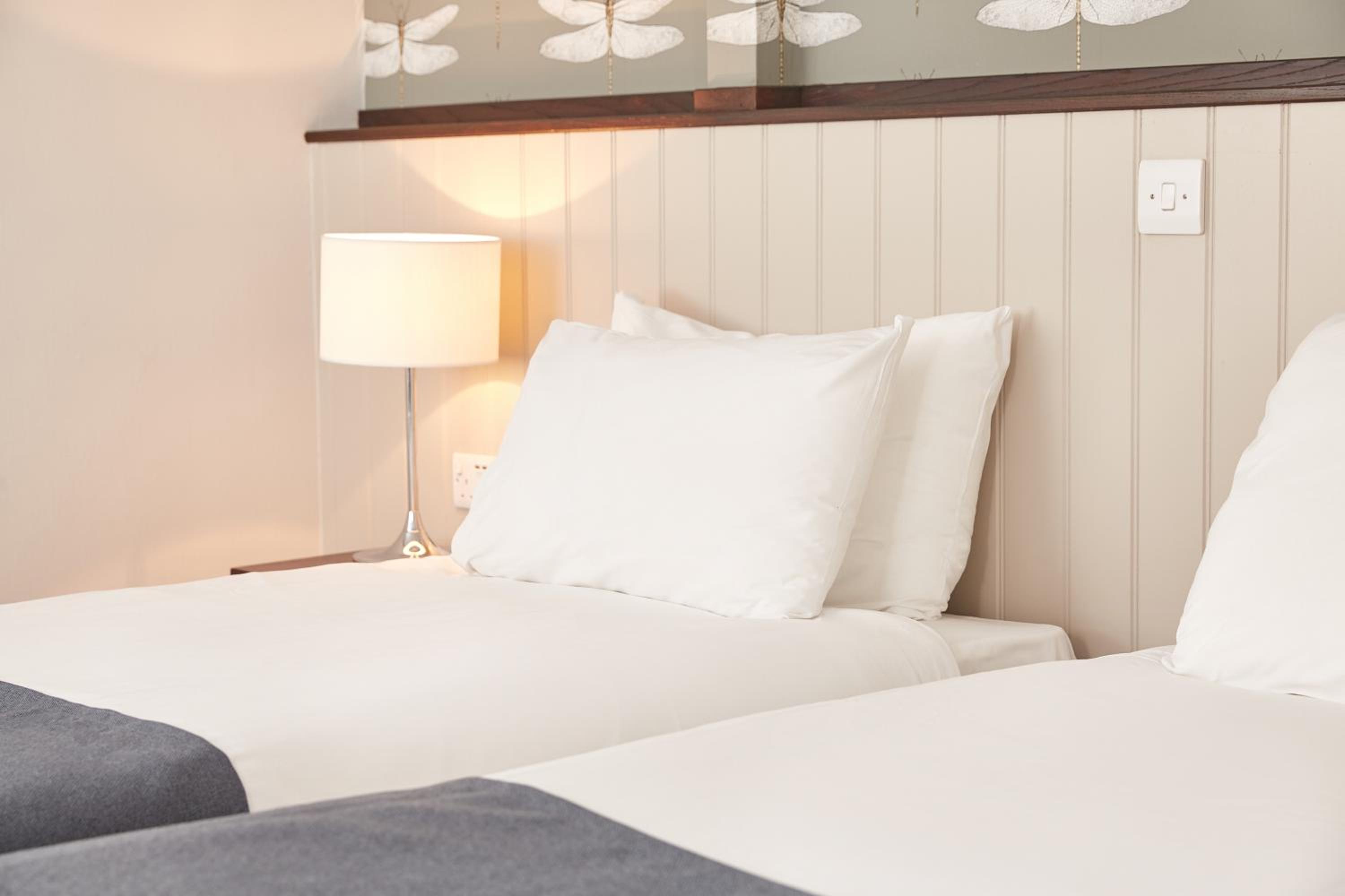 Twin Room photo 2