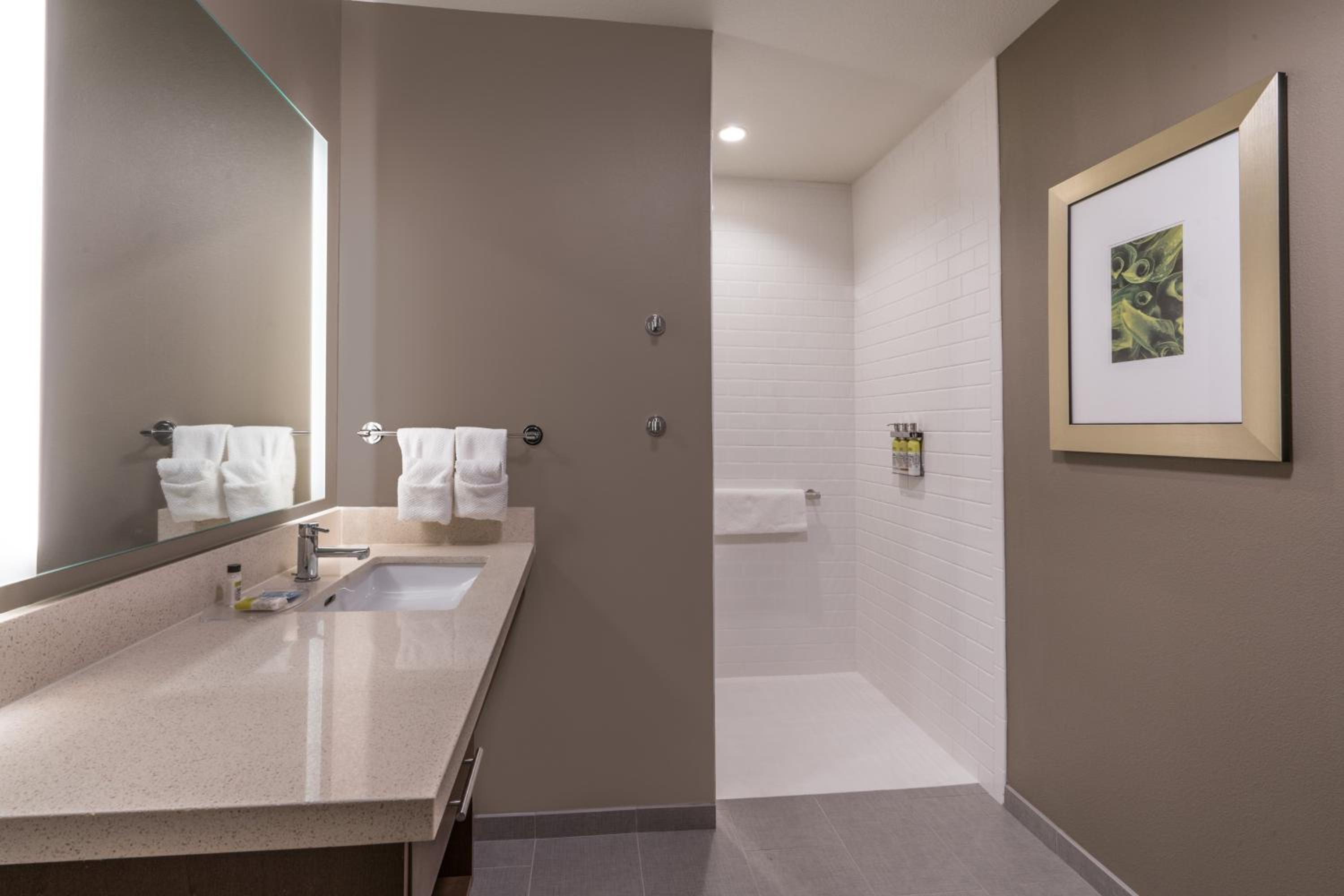 Queen Room with Accessible Roll-in Shower - Nonsmoking