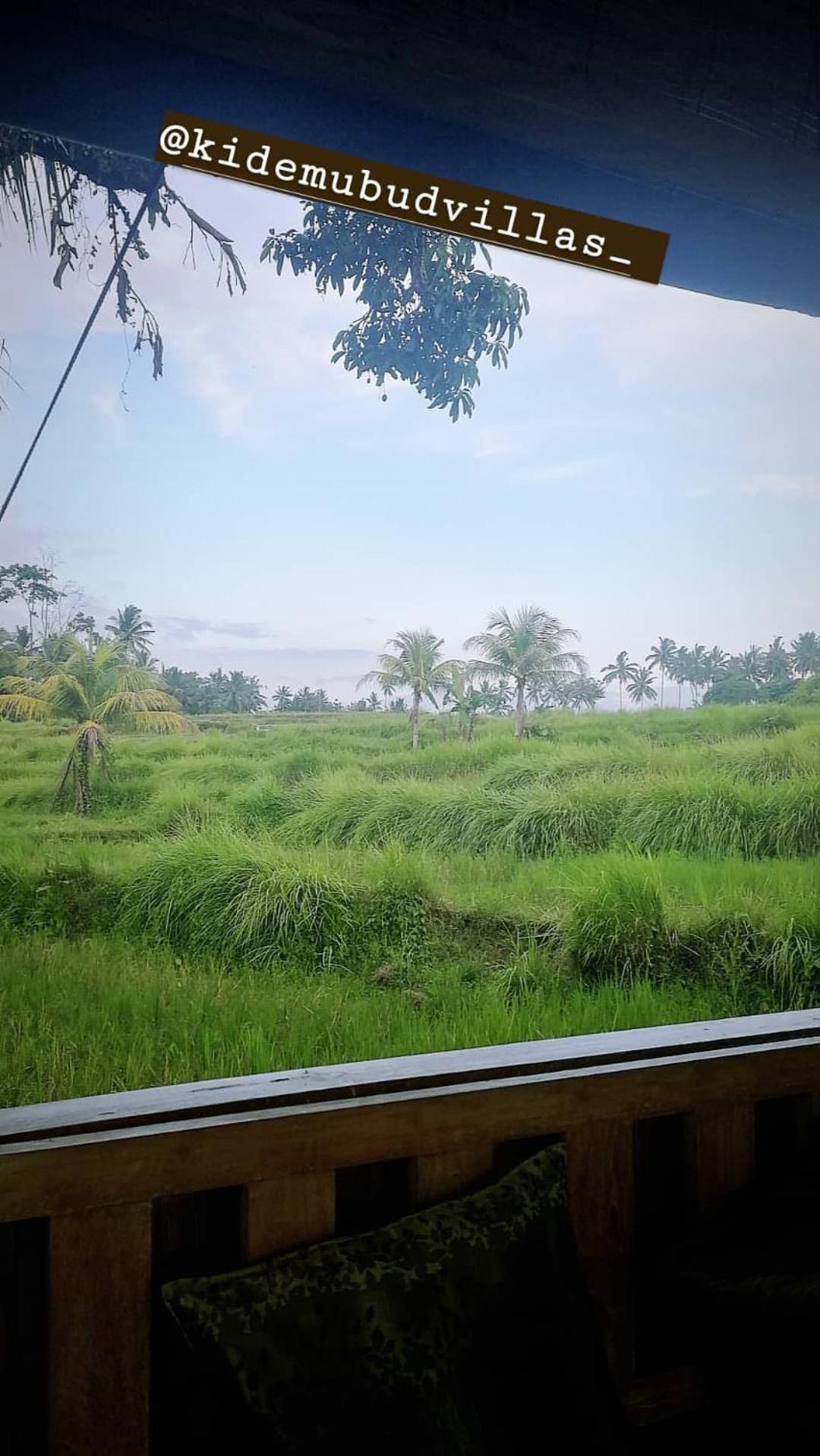 Villa with Garden View - Photo 9