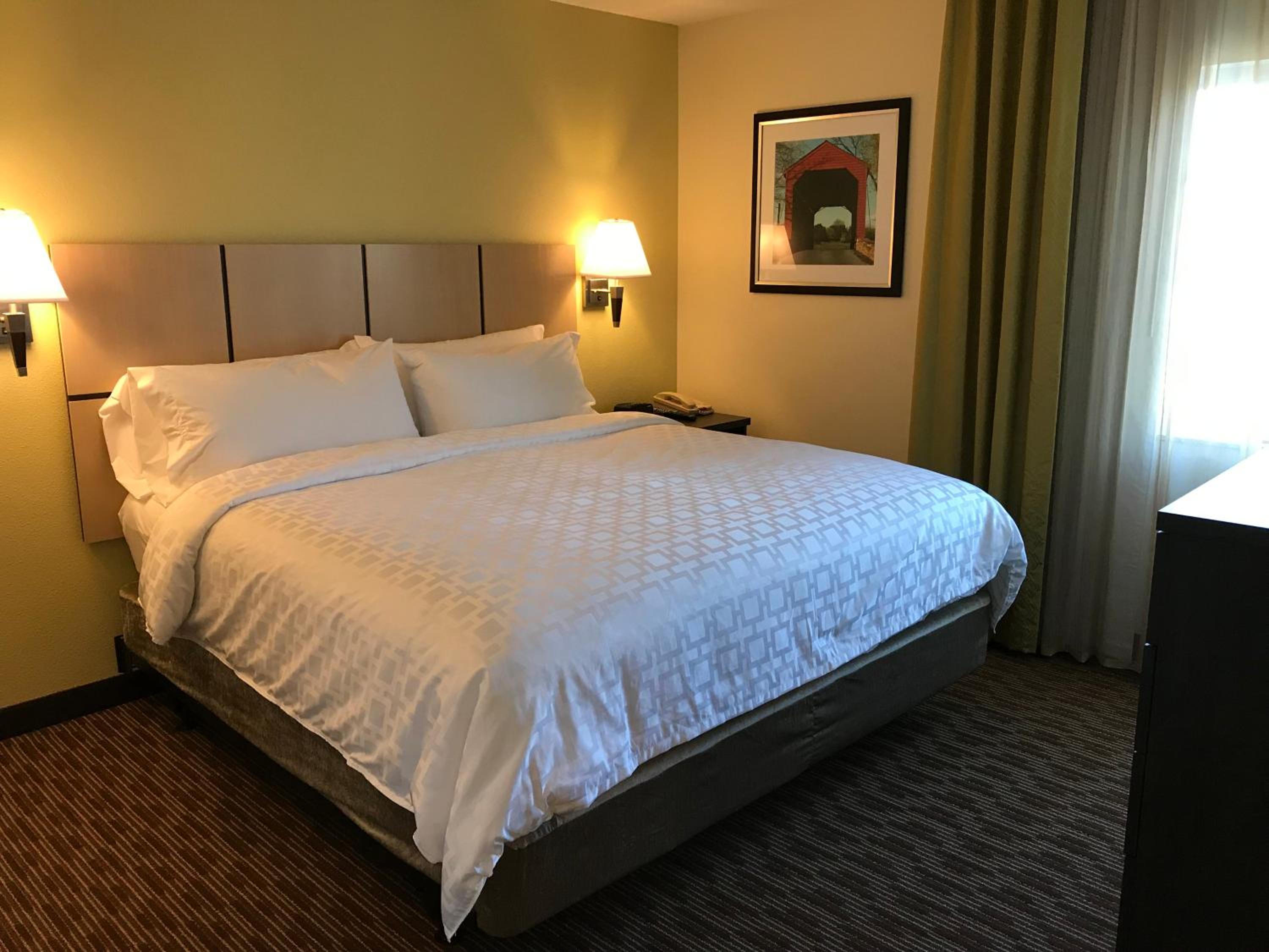 One-Bedroom Suite - Photo 4