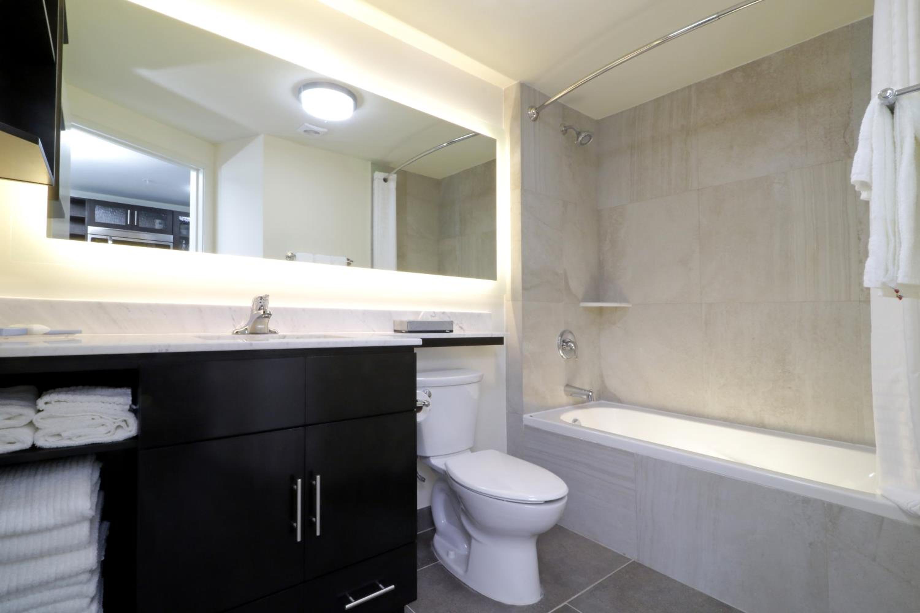 King Studio Suite photo 3