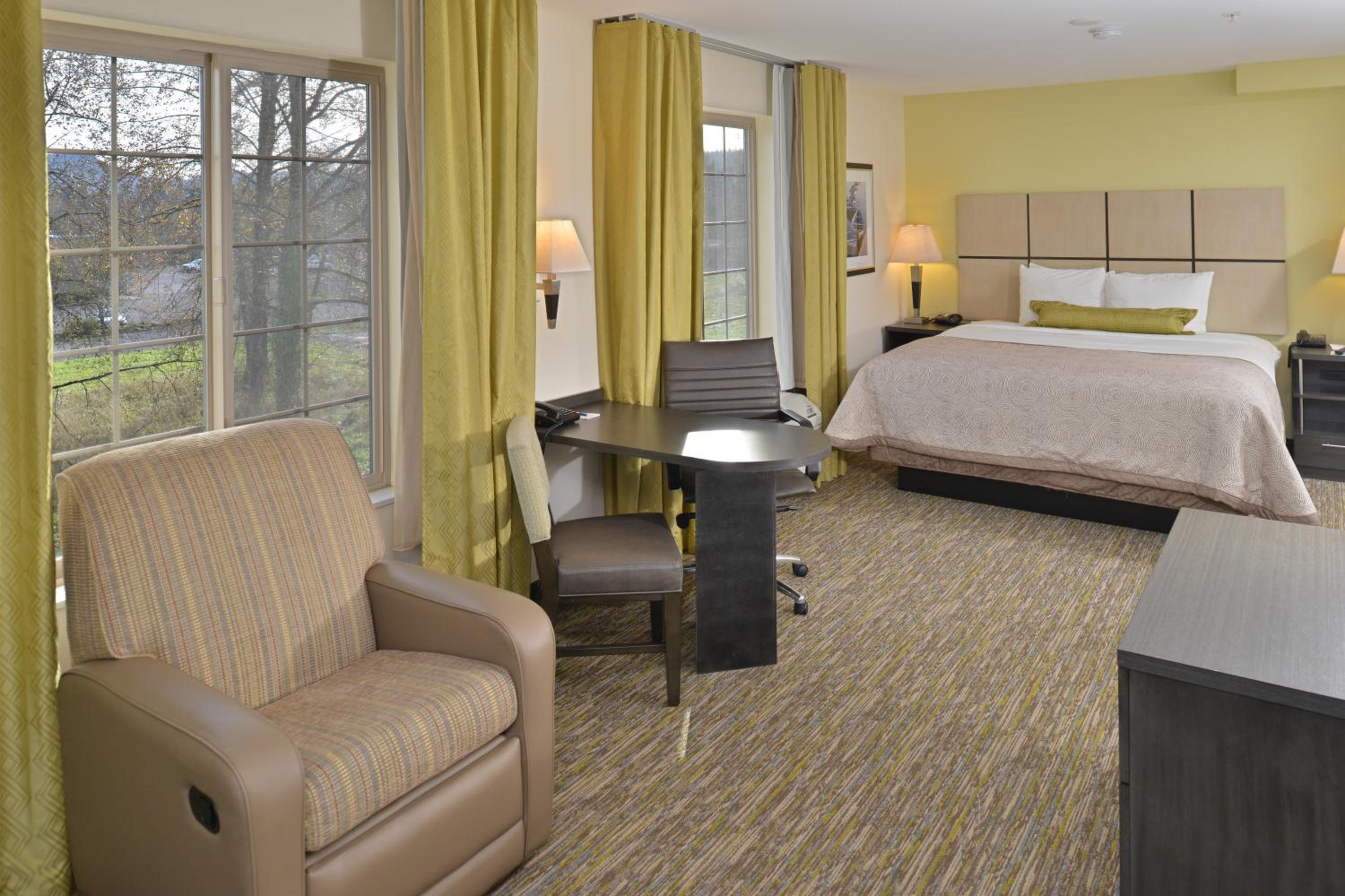 King Studio Suite - River View