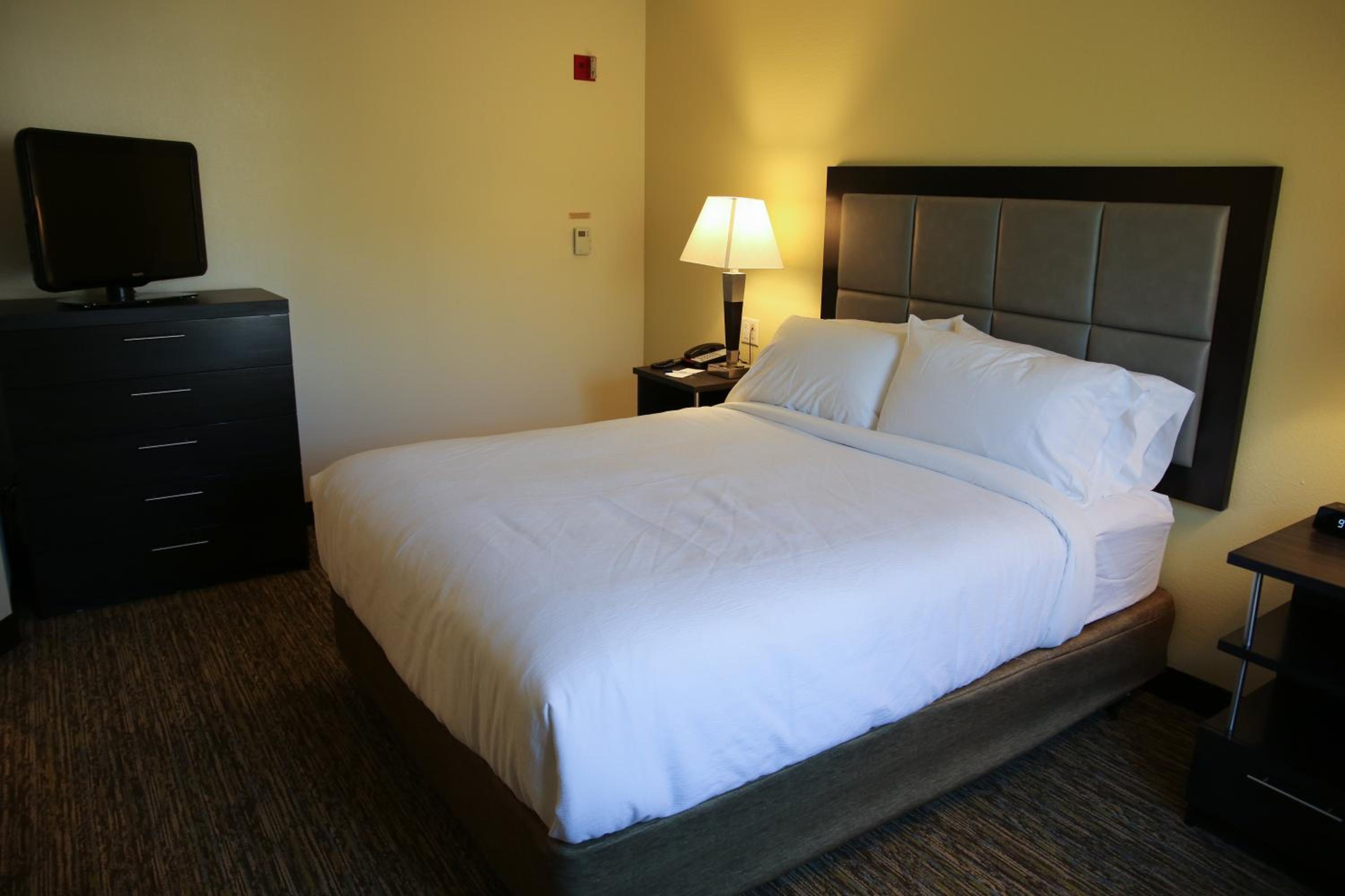 One-Bedroom Queen Suite - Photo 4