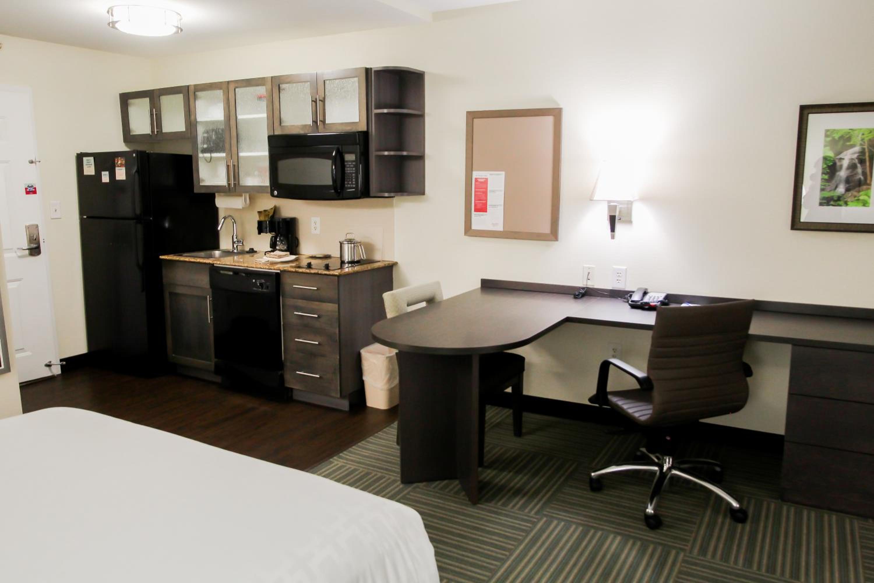 Studio Suite - Photo 3