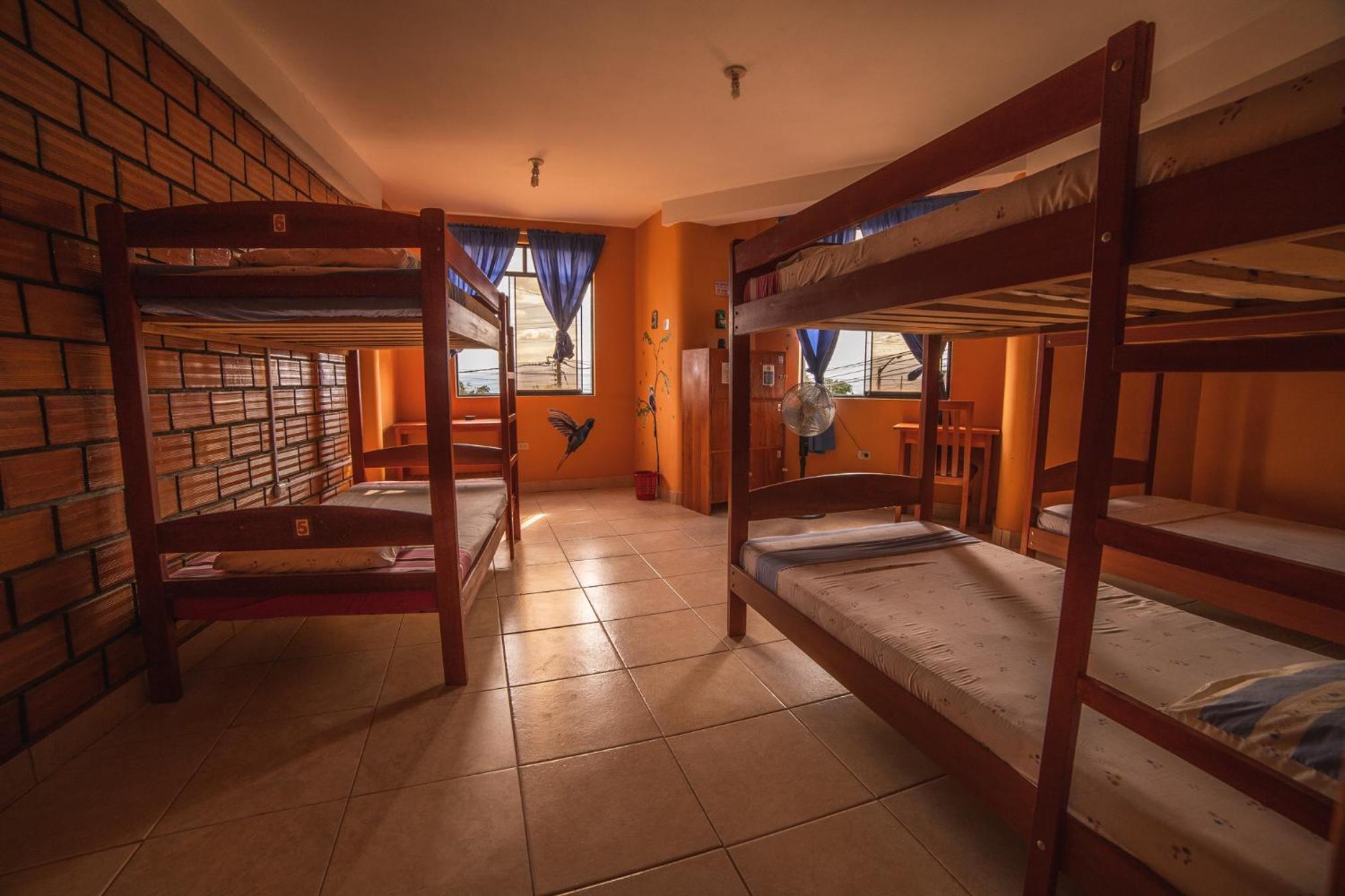 Bed in 6-Bed Dormitory Room photo 2