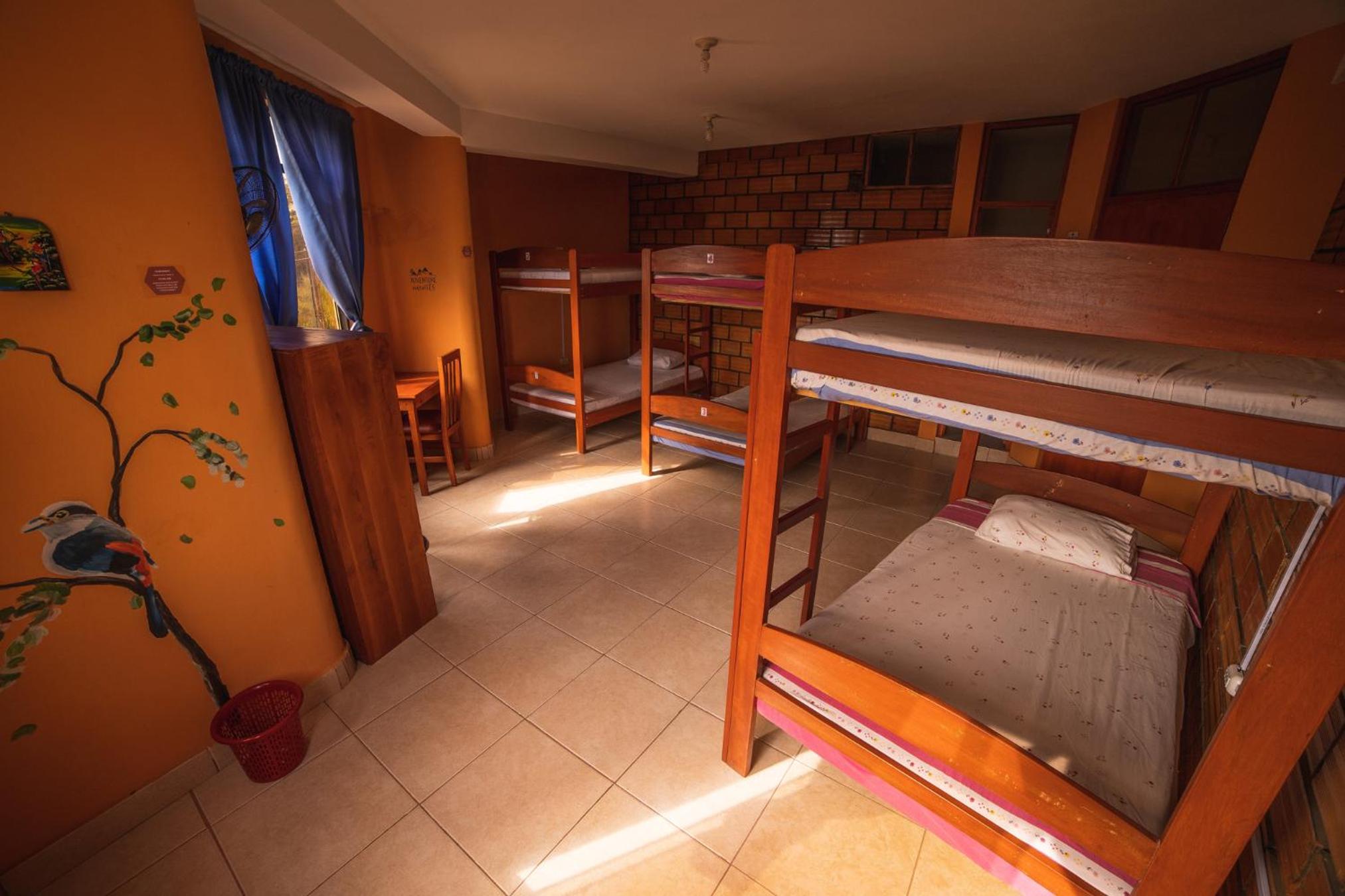 Bed in 6-Bed Dormitory Room photo 3