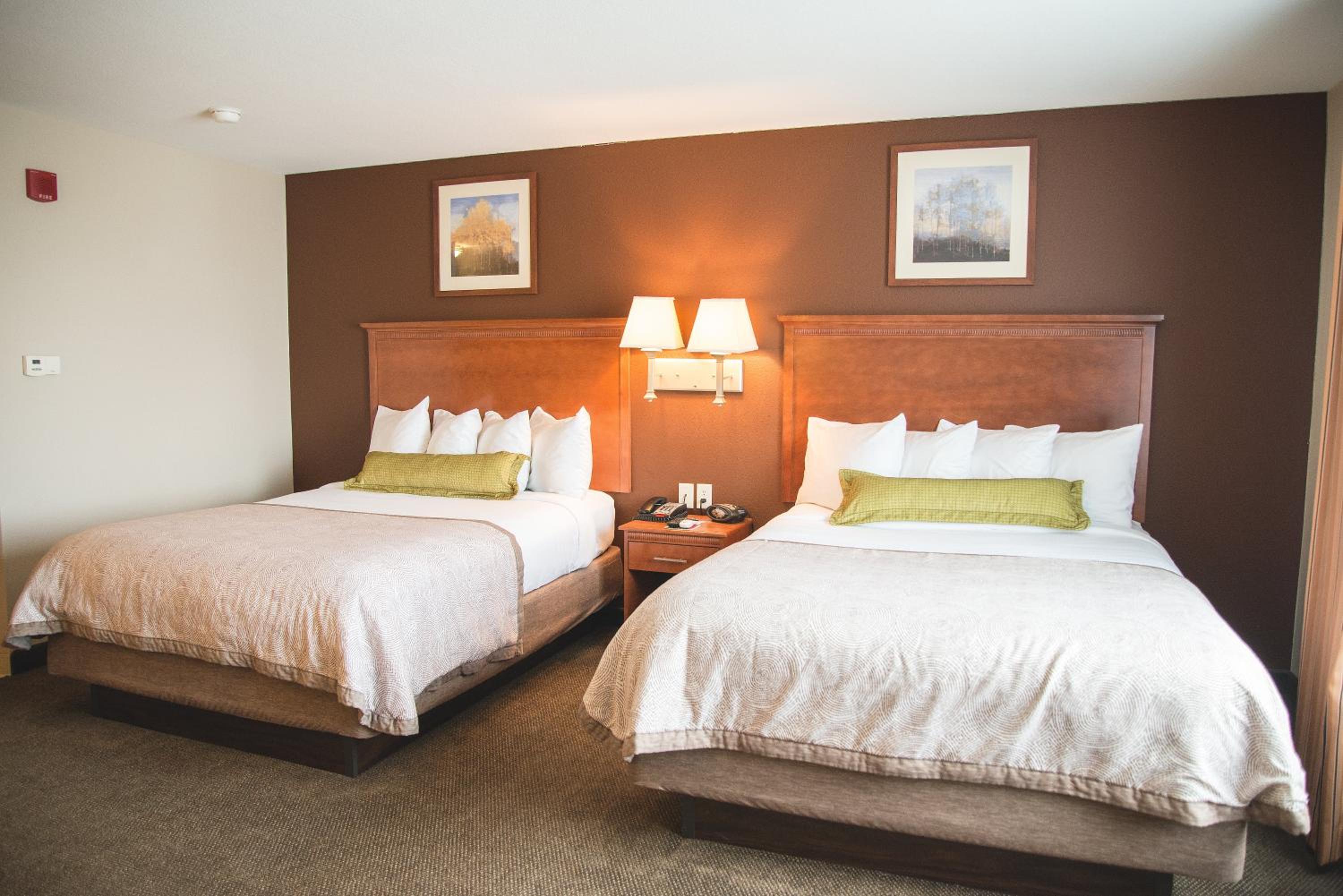 Studio Suite with Two Double Beds - Photo 1