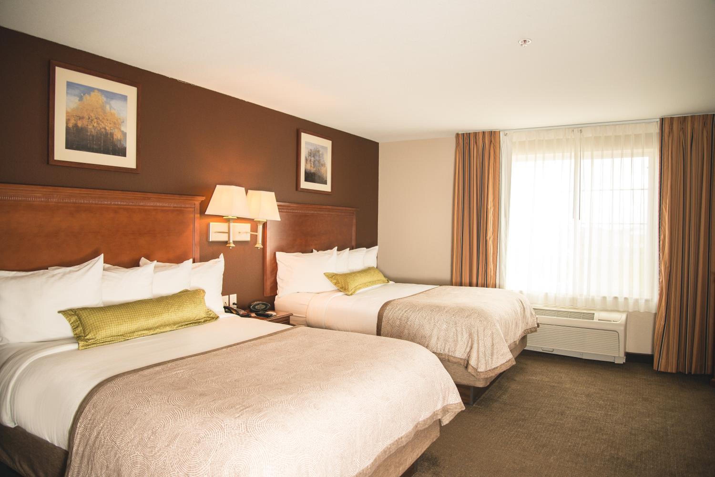 Studio Suite with Two Double Beds - Photo 2