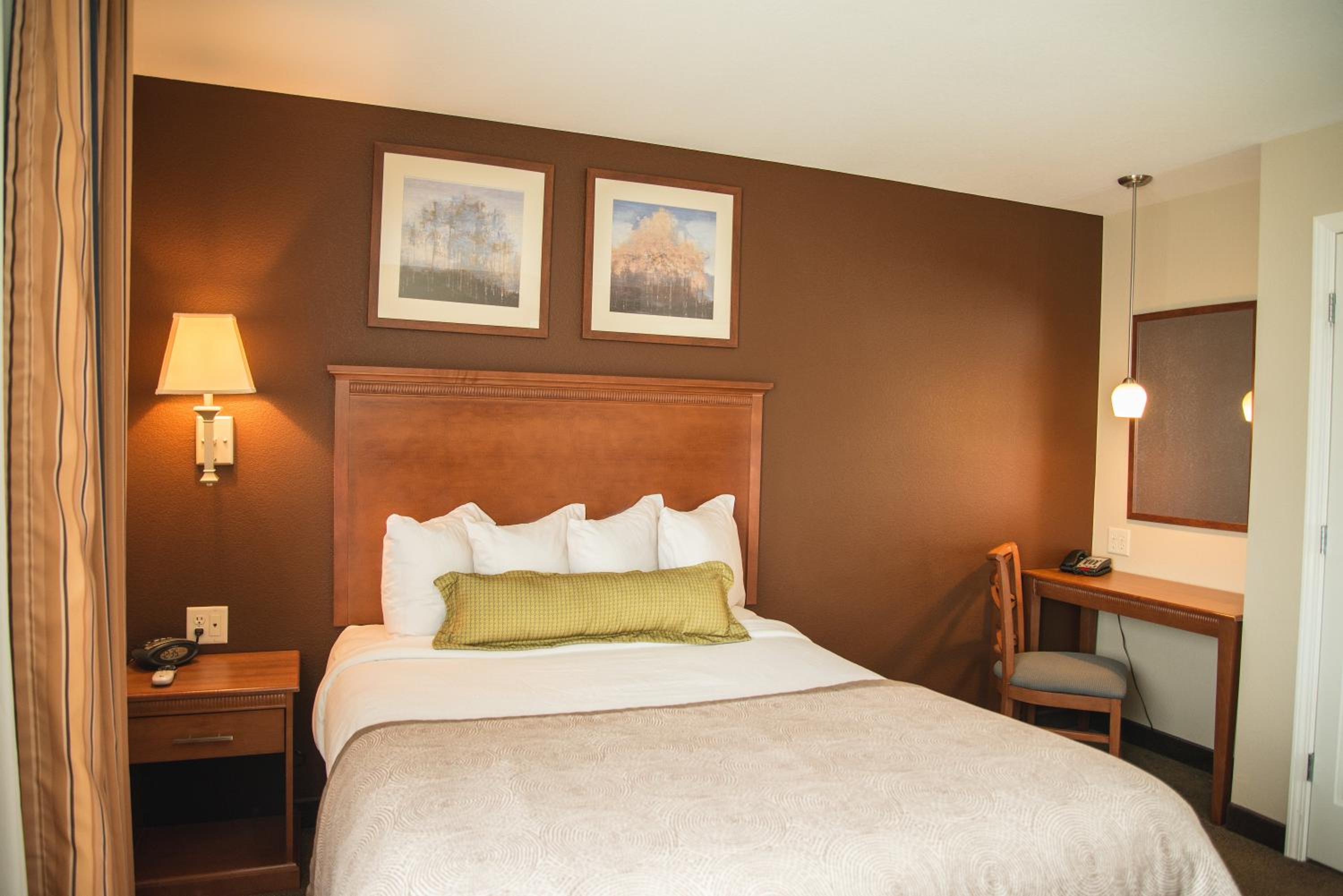 One-Bedroom Queen Suite - Photo 3