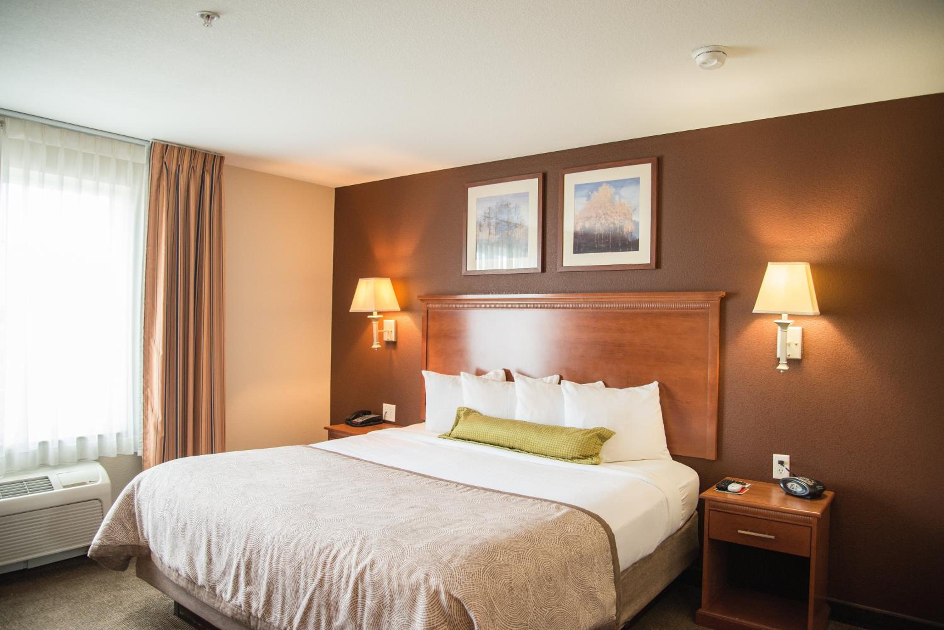 King Studio Suite - Photo 1