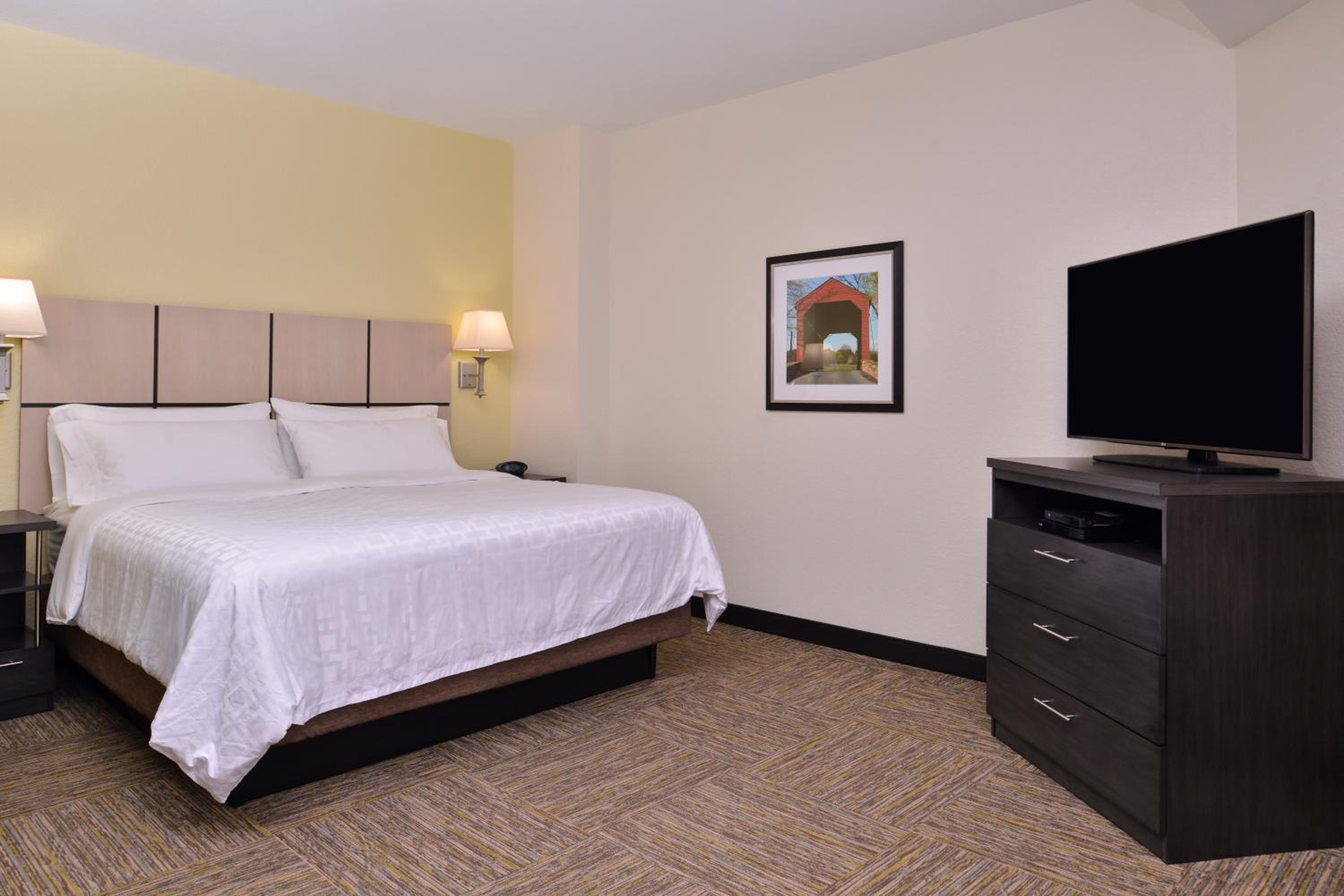 Studio Suite - Photo 1
