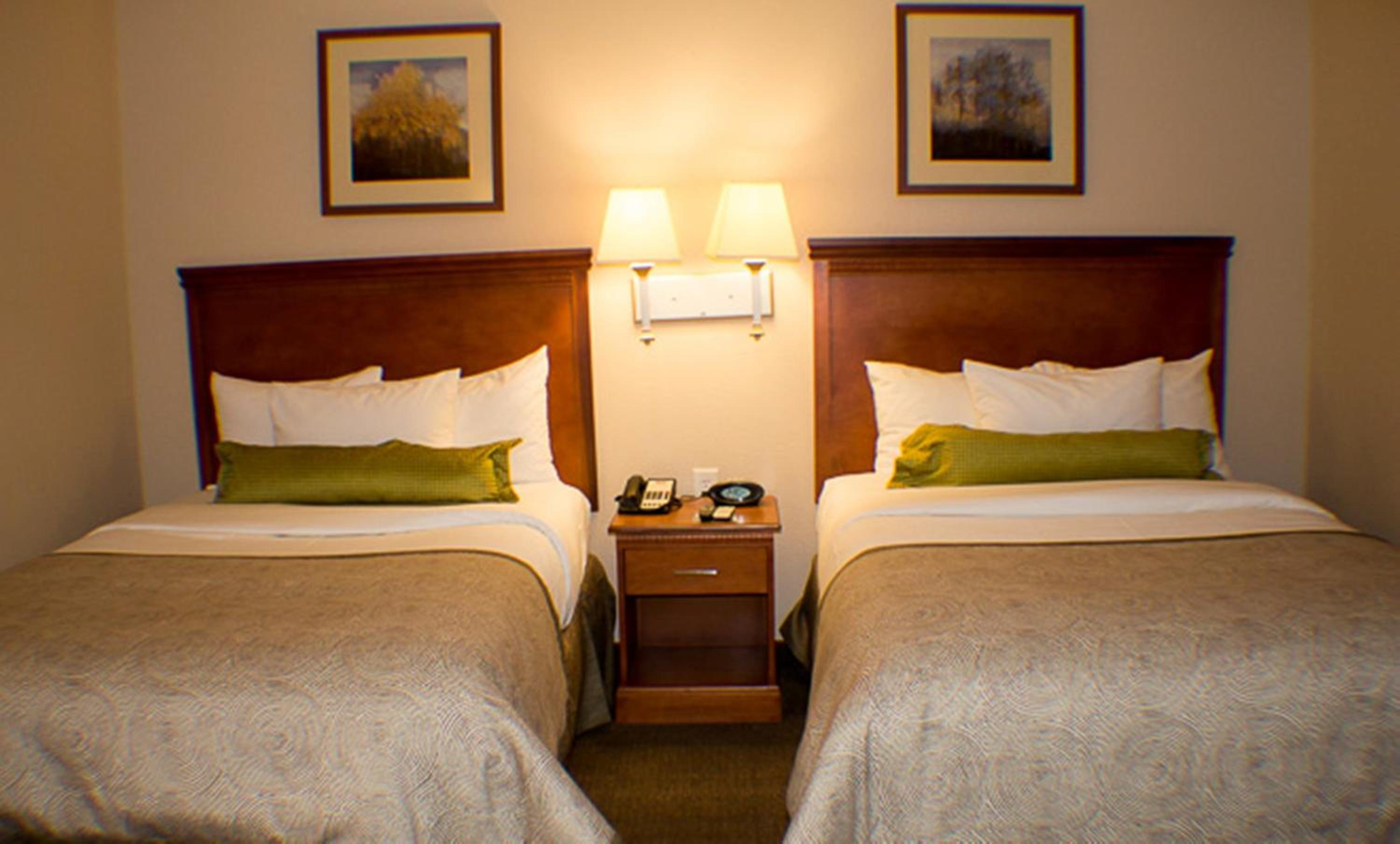 Double Studio with Two Double Beds - Non-Smoking - Photo 1