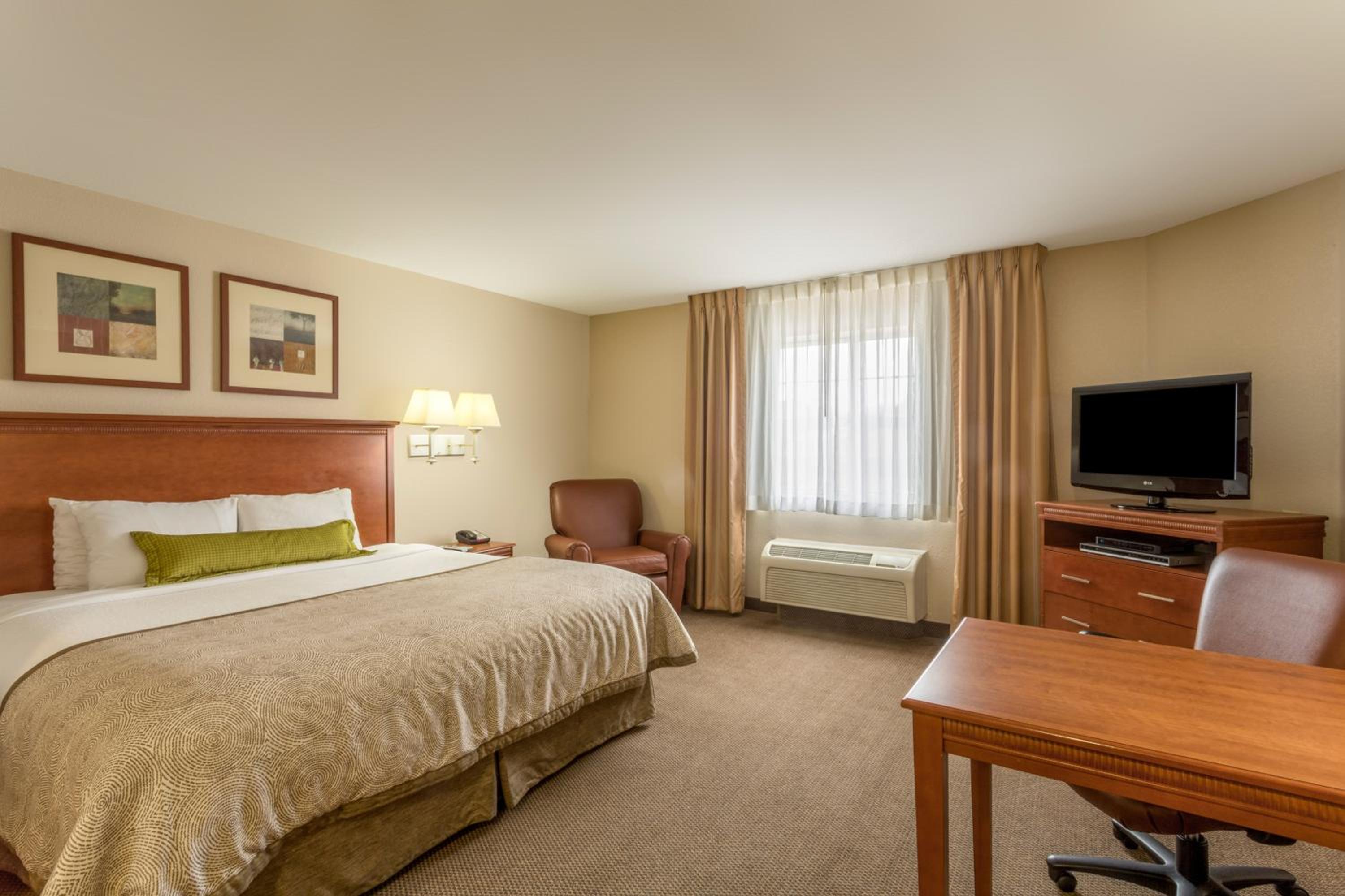 King Studio Suite photo 2