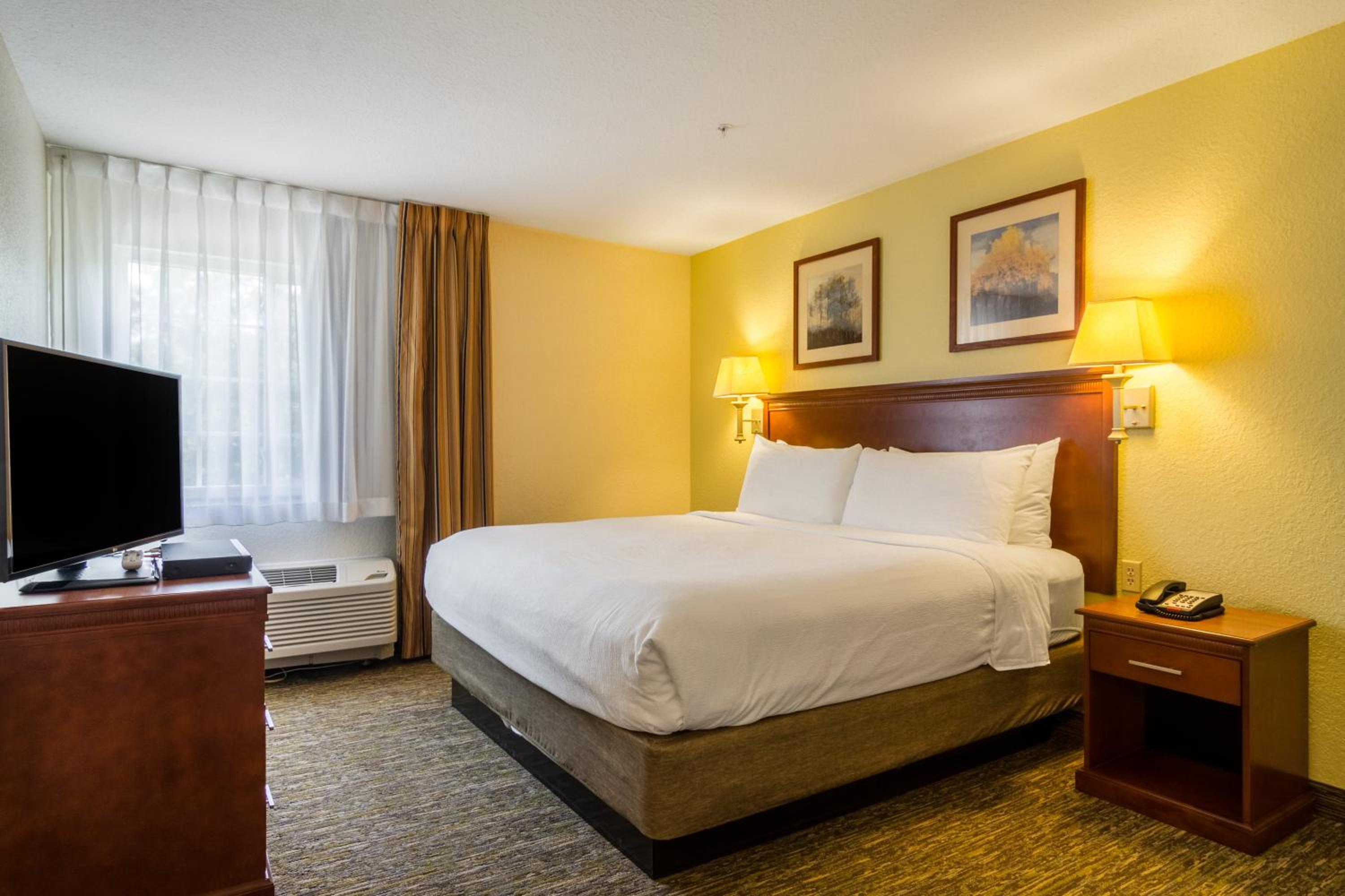 One-Bedroom King Suite with Sofa Bed - Photo 3